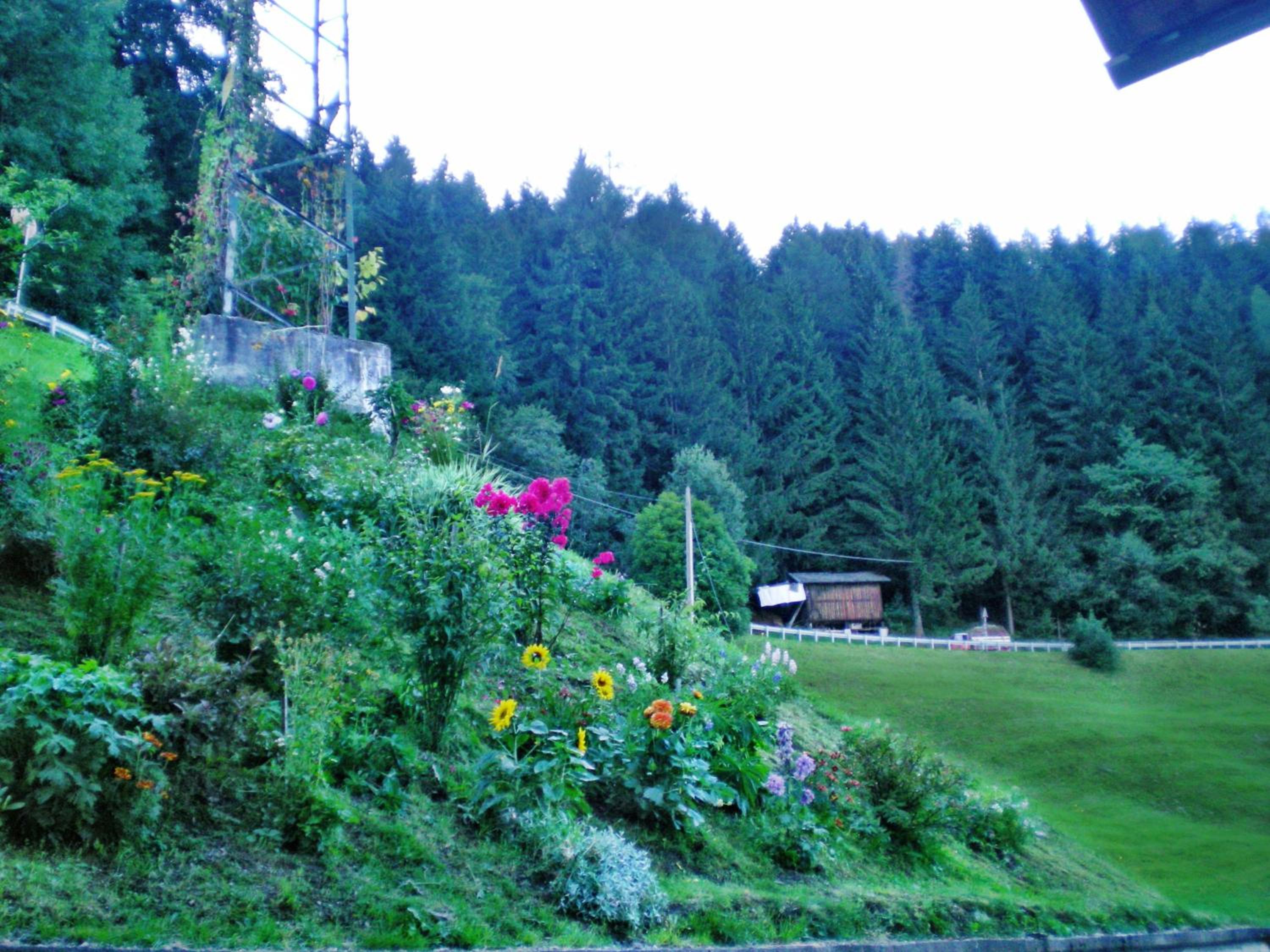 Photo 44