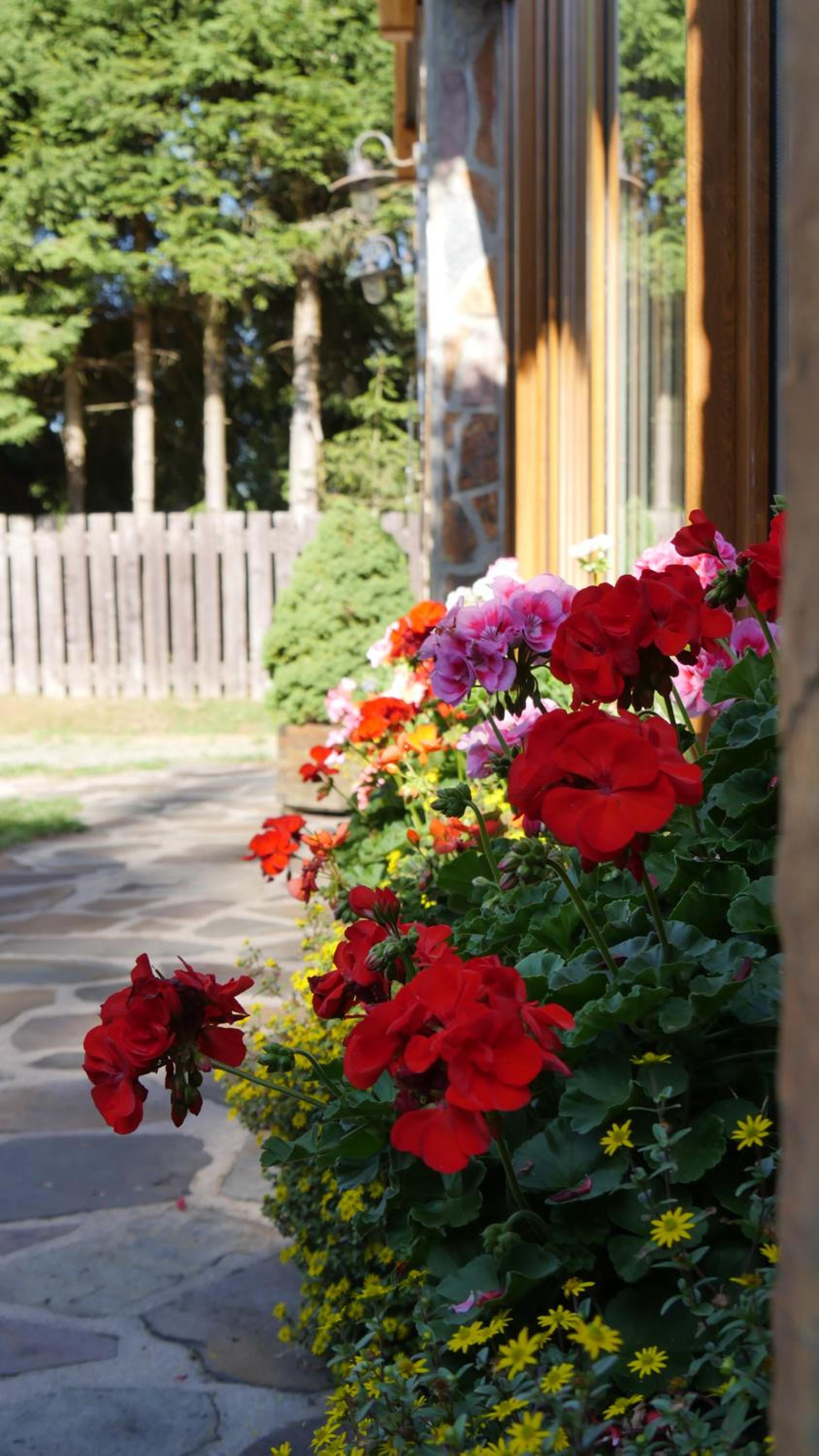 Pension Aspen Harrachov