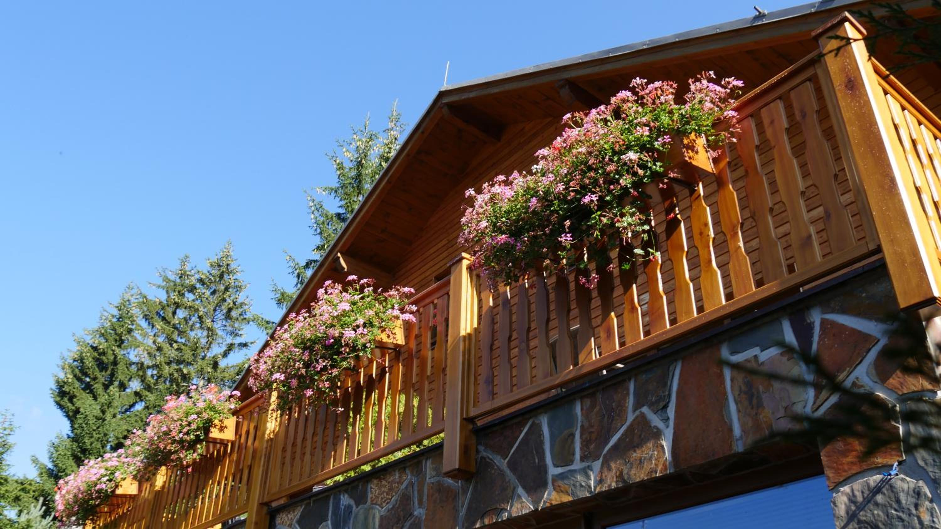 Pension Aspen Harrachov