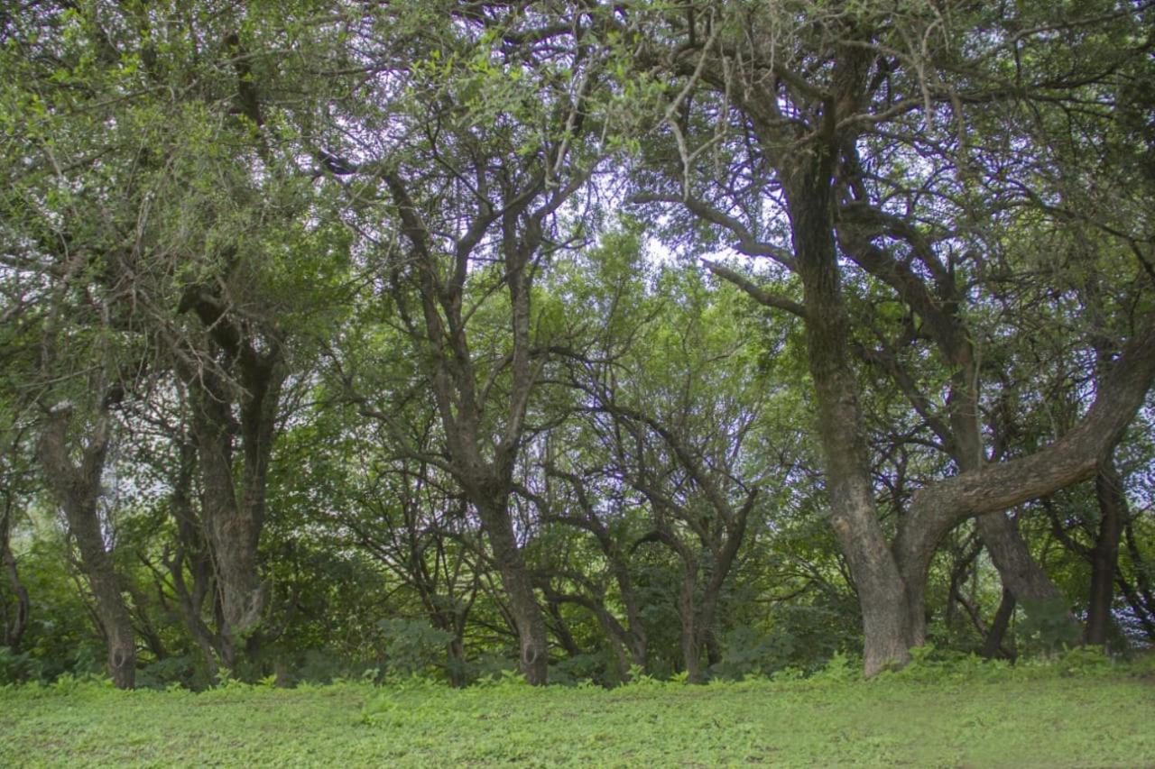 Estancia el Cimarrón