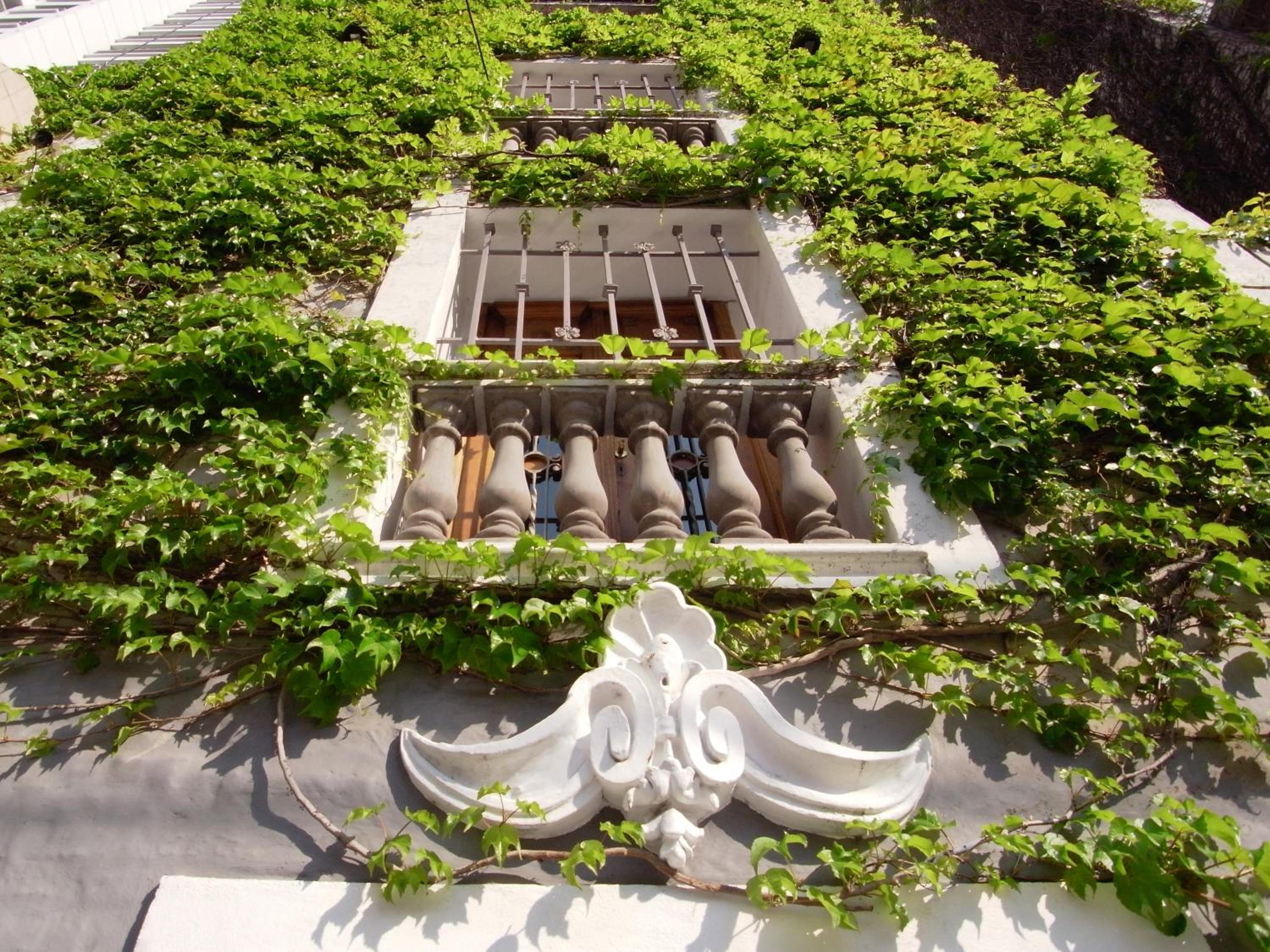 Le Petit Palais