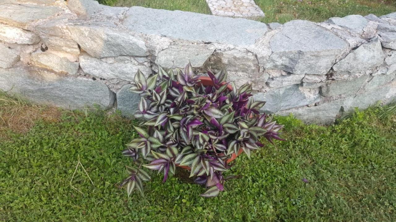 Vikendica Ahatovići