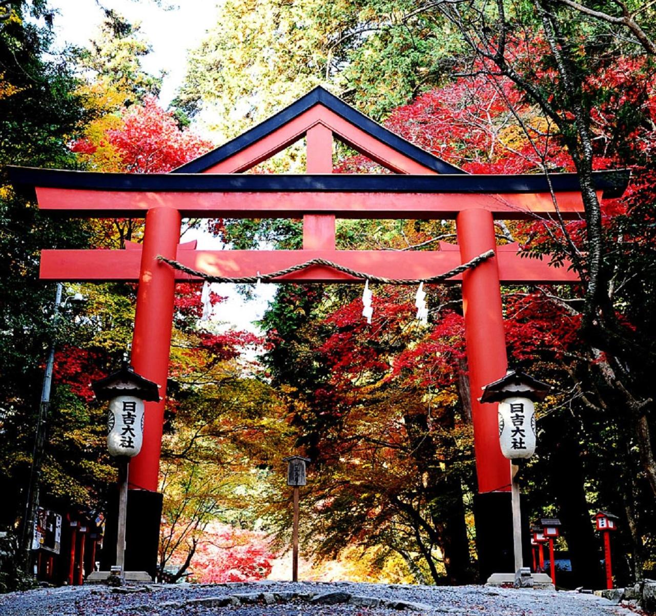 Ogoto Onsen Yunoyado Komolebi