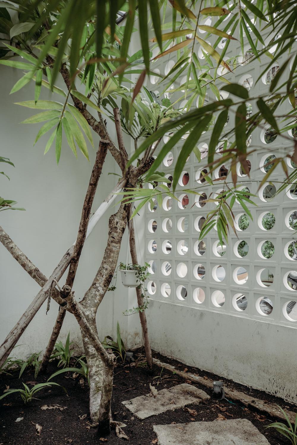Botanist Lab Minihotel by CIRCADIAN