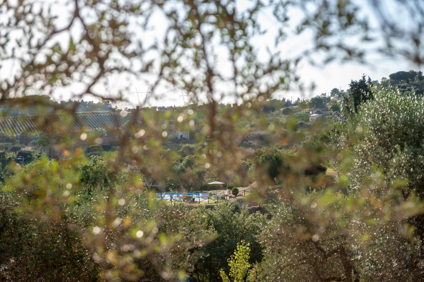 Agriturismo Poggio del Pero