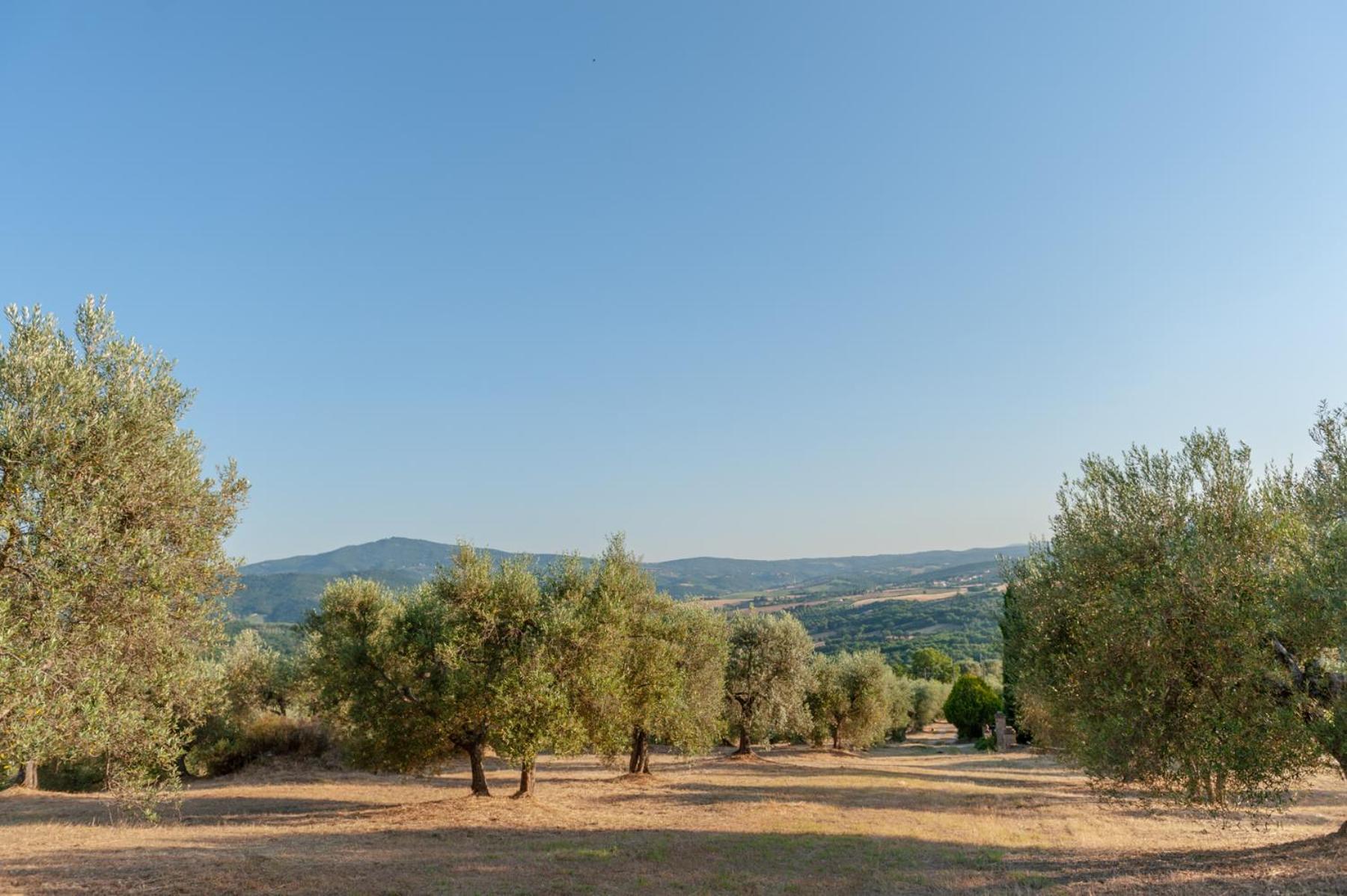 Agriturismo Poggio del Pero