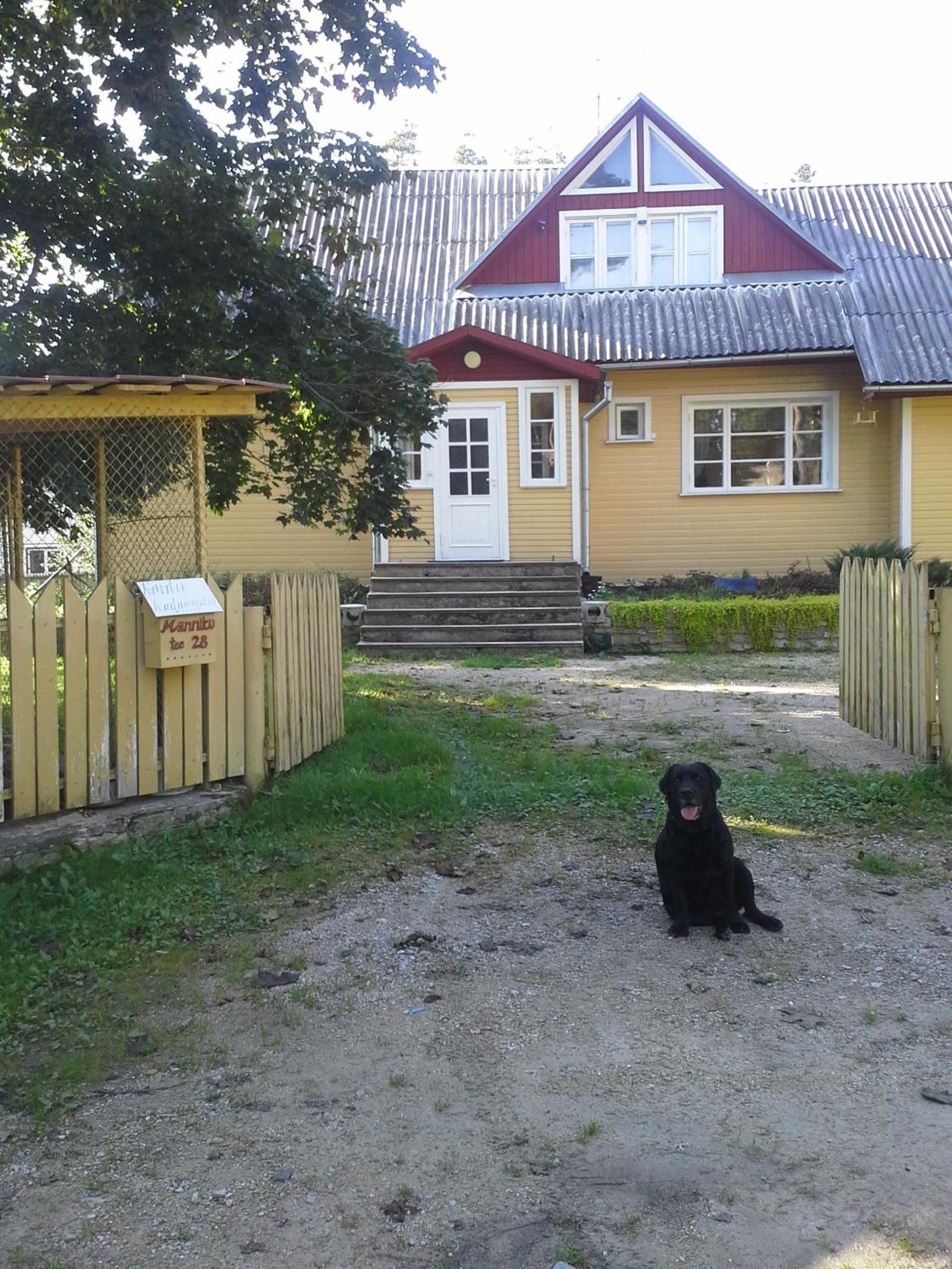 Photo 14