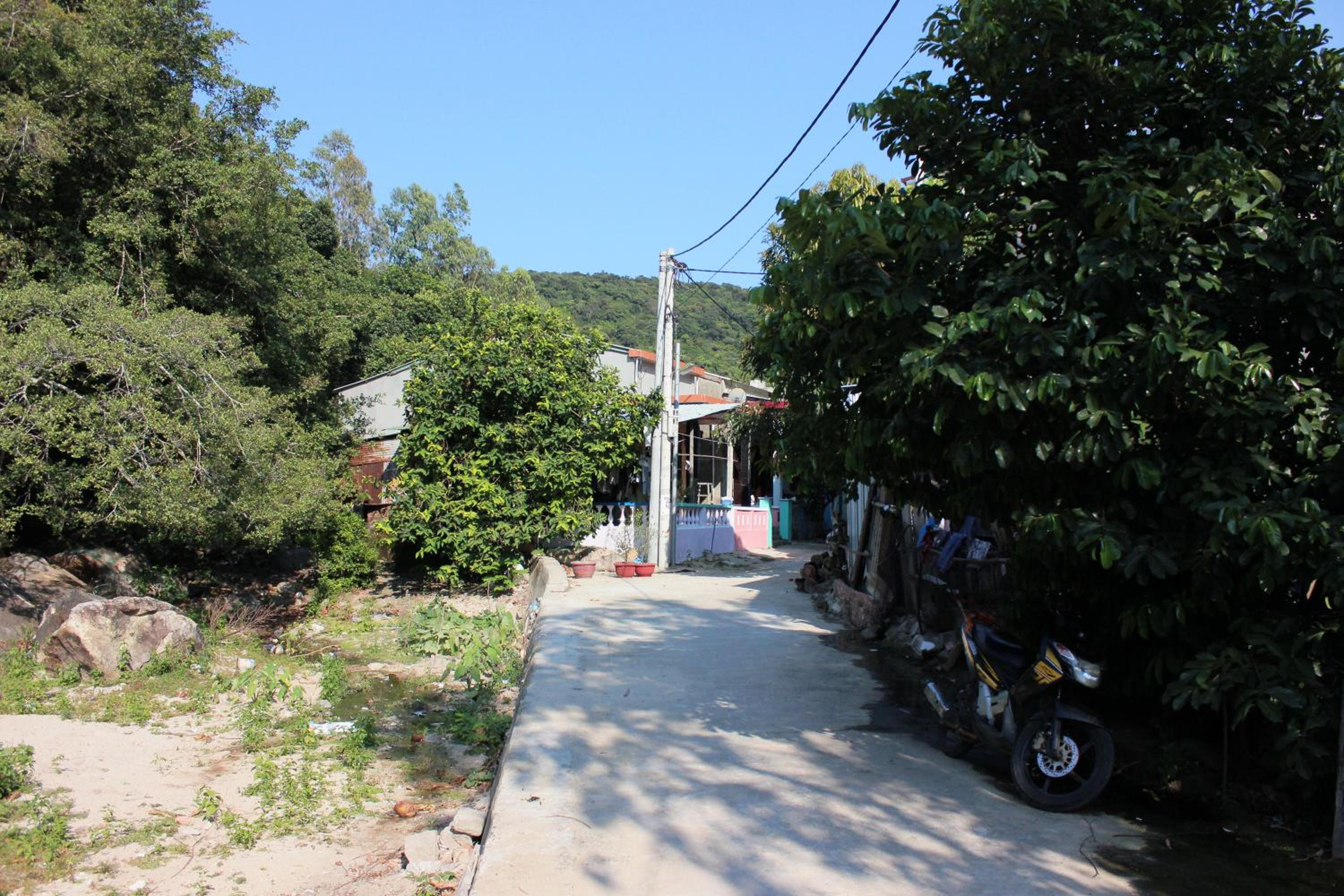 Photo 21
