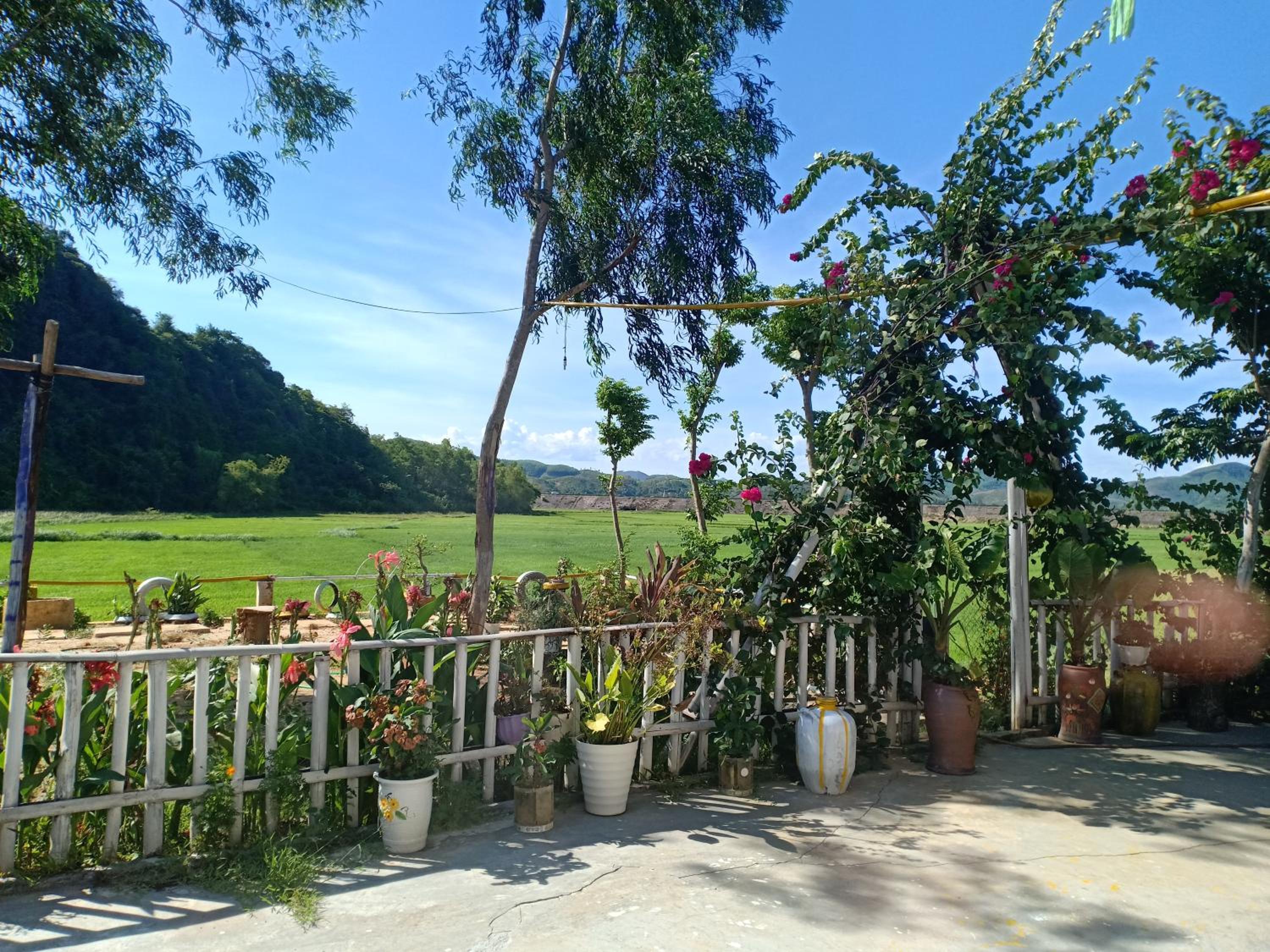 Phong Nha Rice Field Homestay view 4
