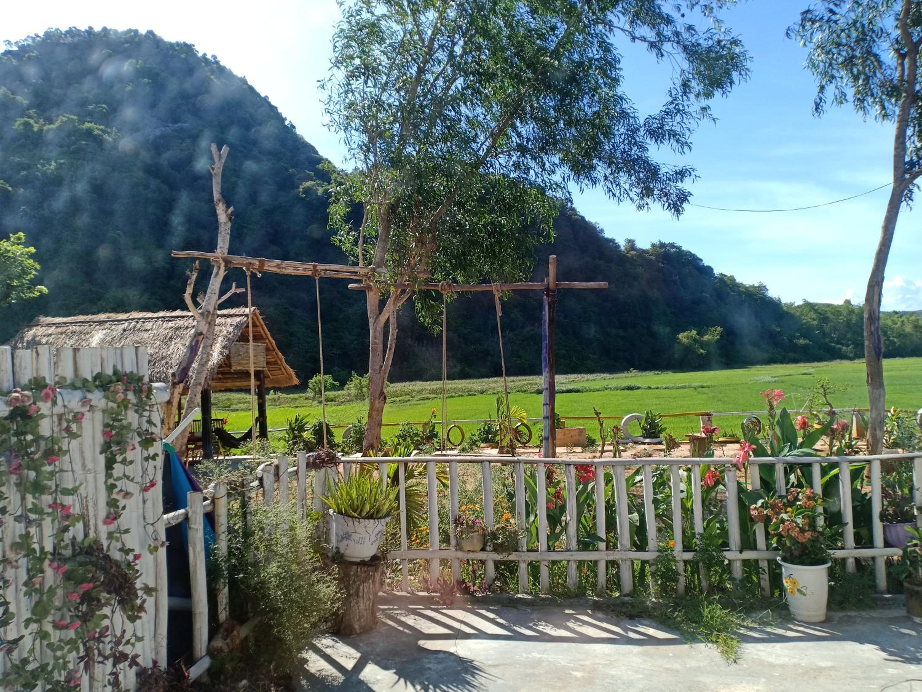 Phong Nha Rice Field Homestay view 3