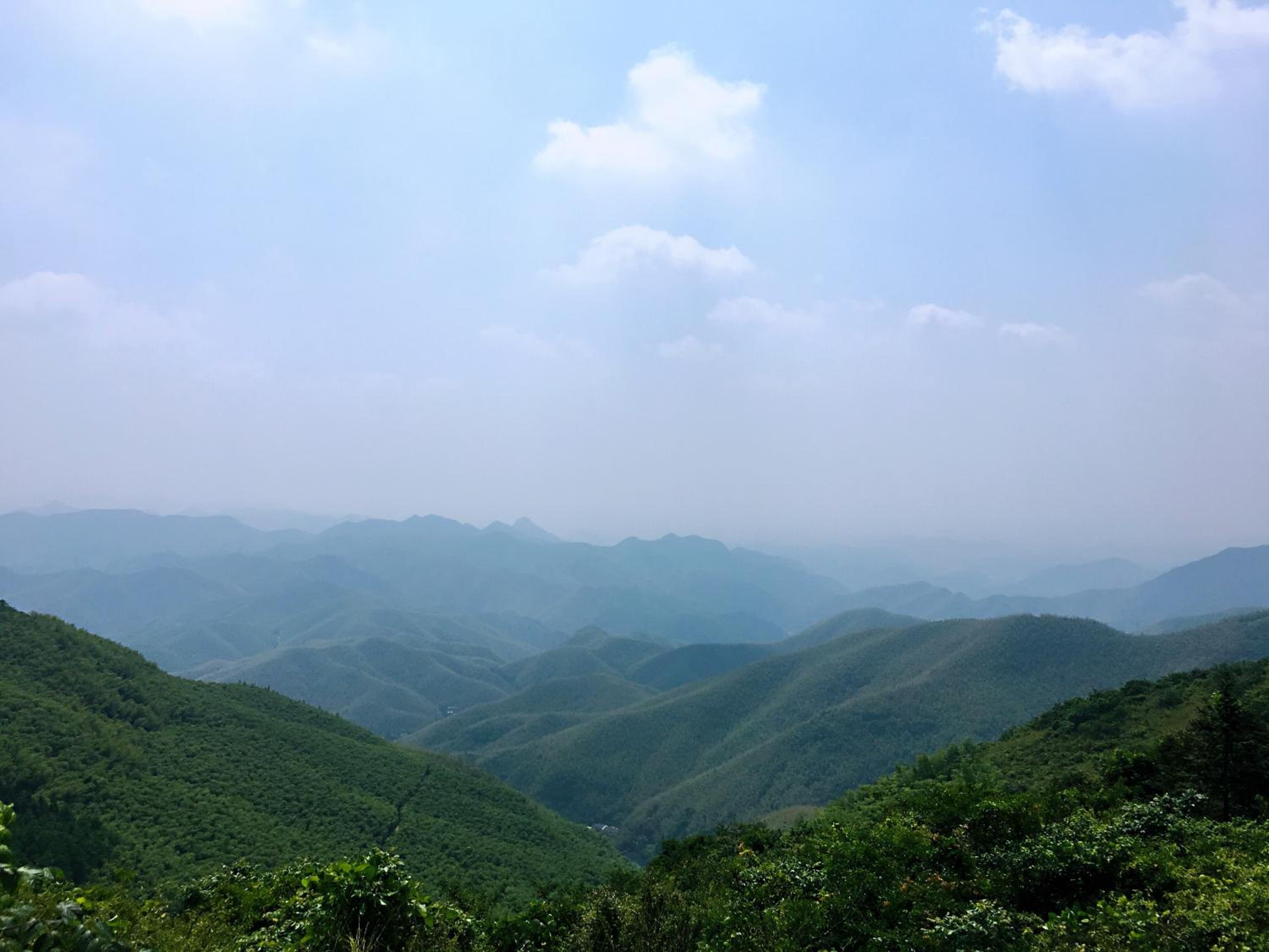 Moganshan Bamboo View Guesthouse