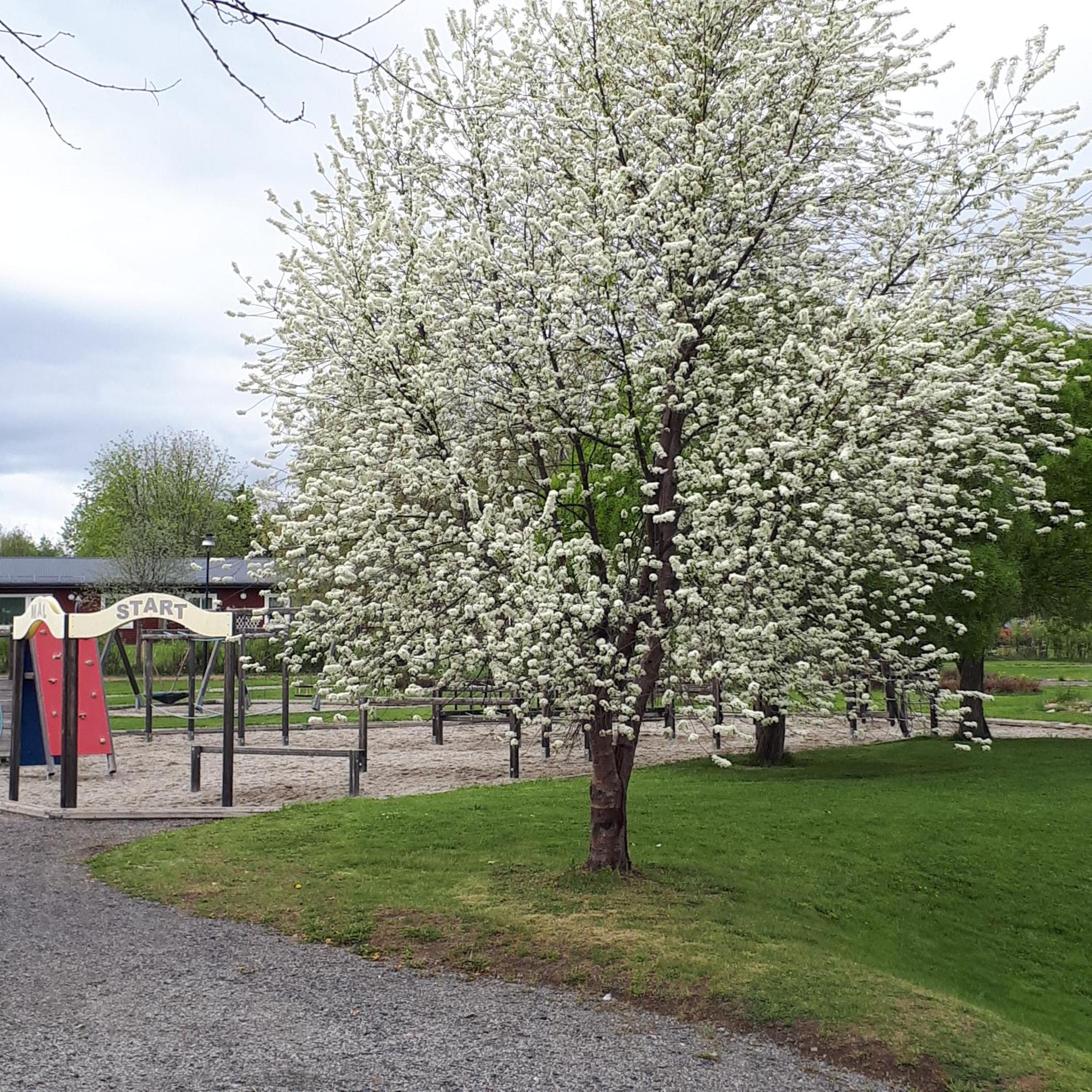 Hotell Indalsleden