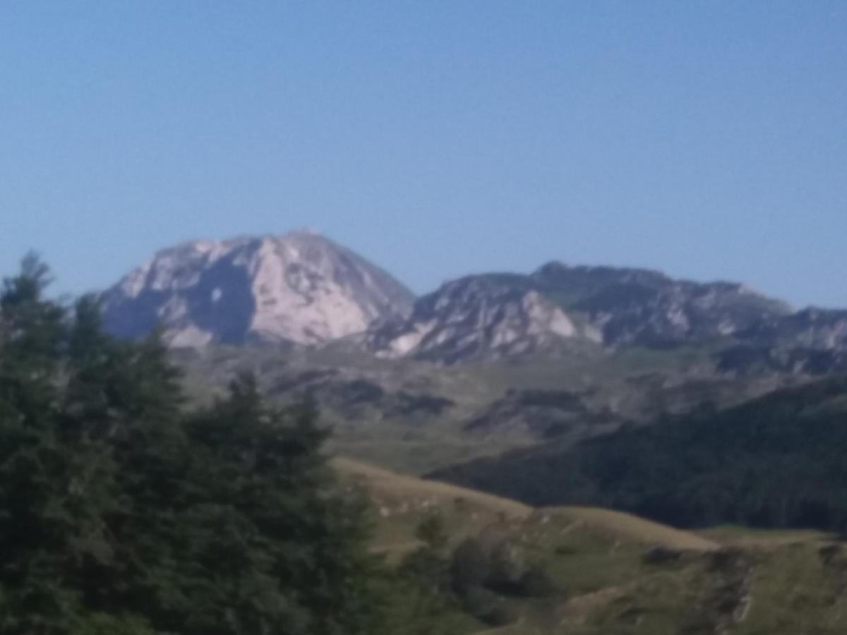 Photo 29