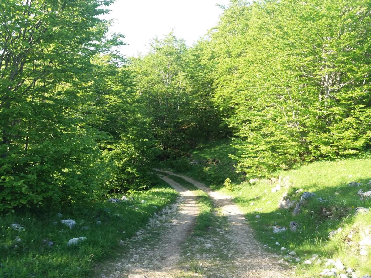 Photo 34