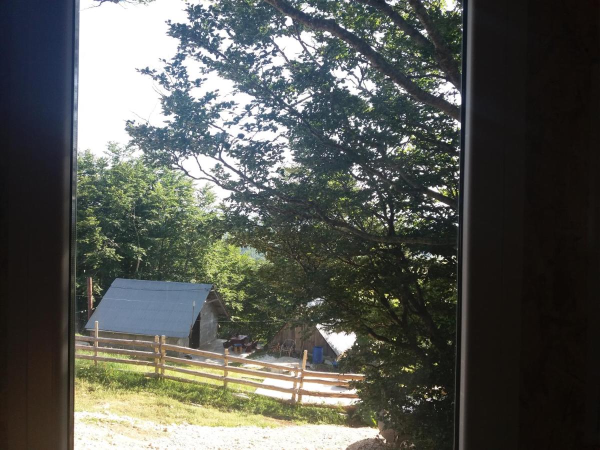 Photo 37