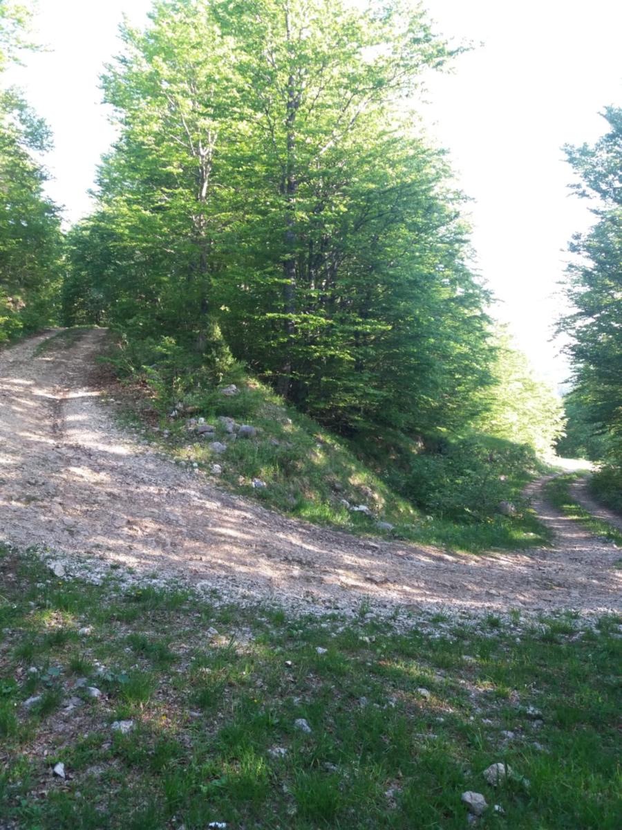 Photo 50