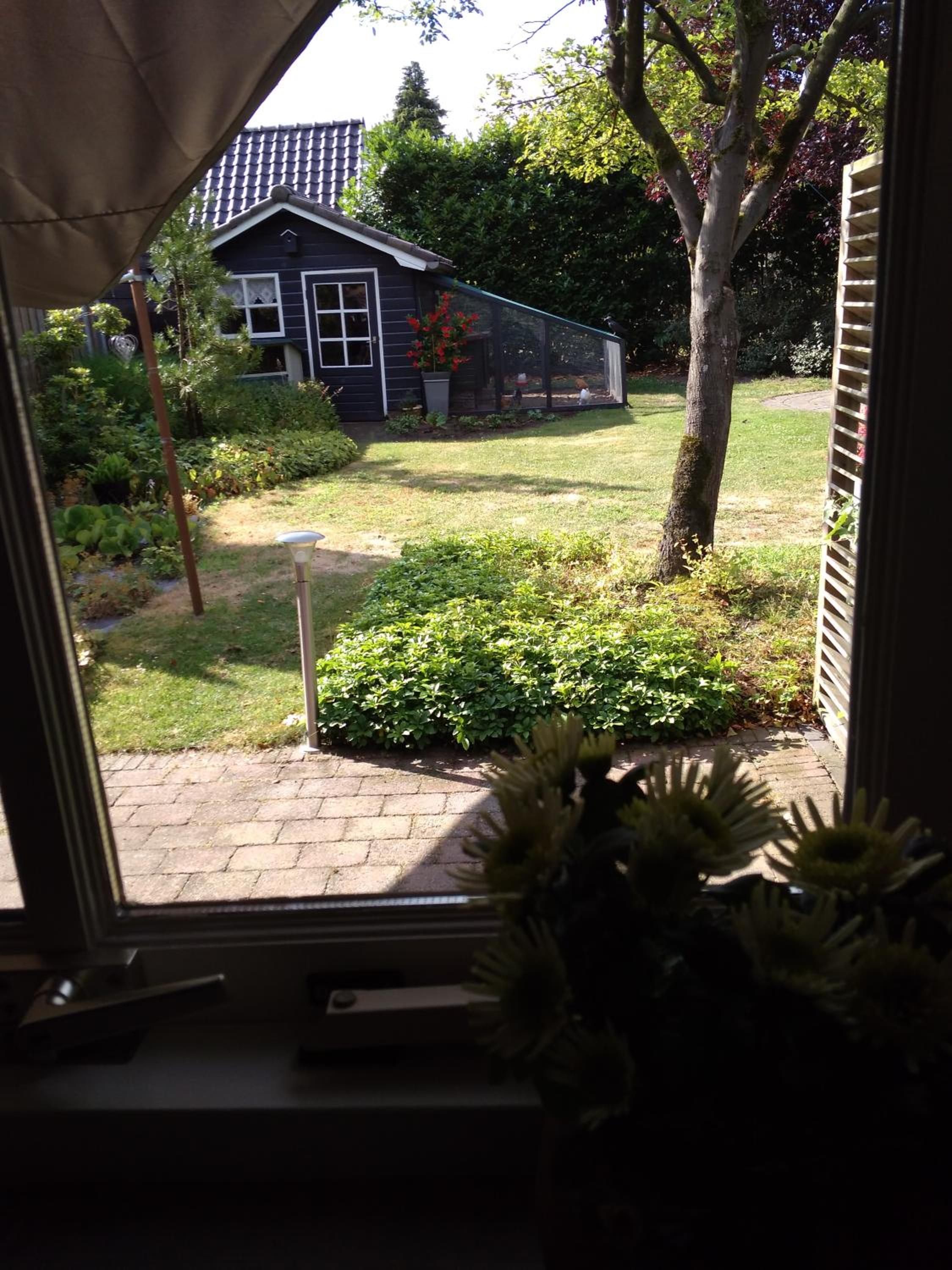 Photo 20