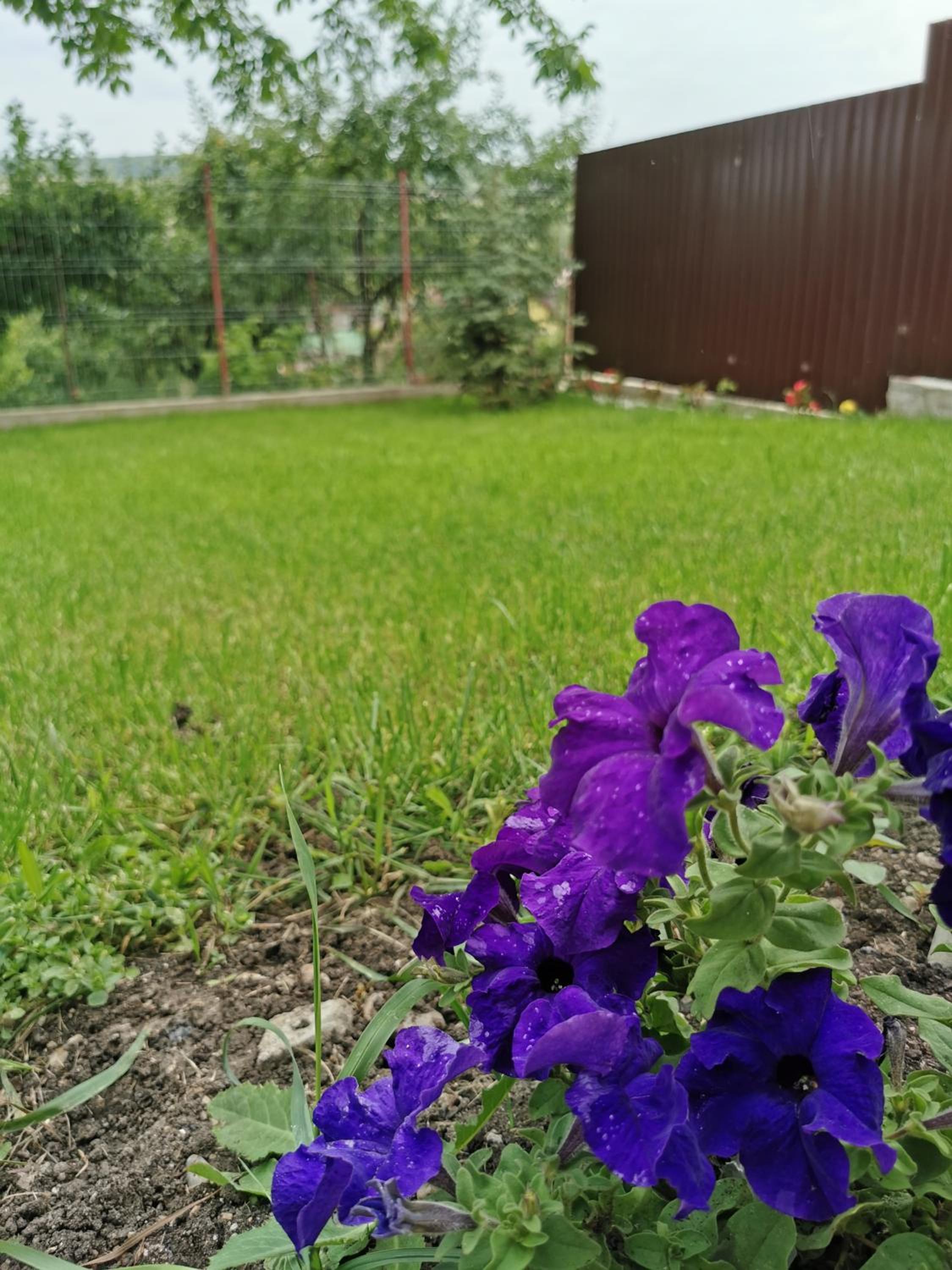 Photo 52