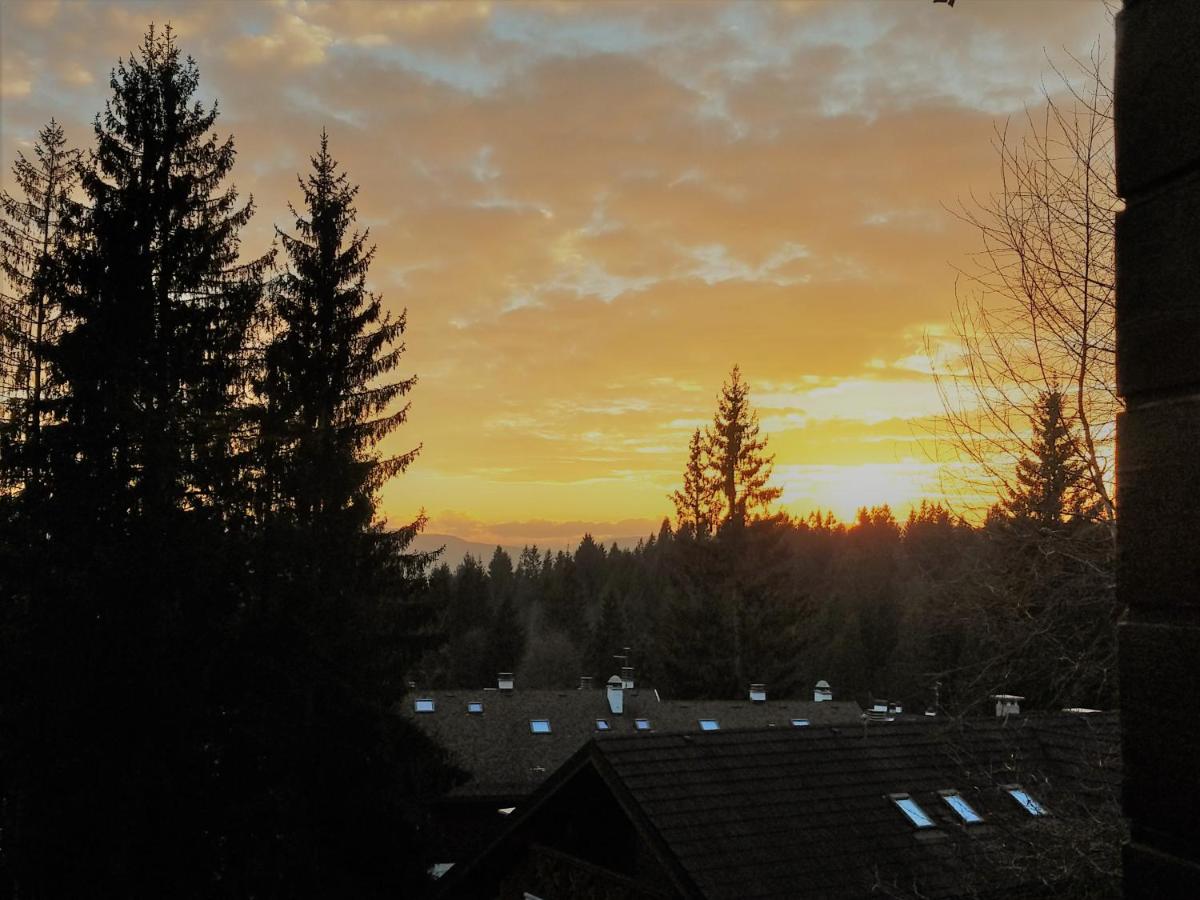 Relax sull'Altopiano di Asiago photo 5