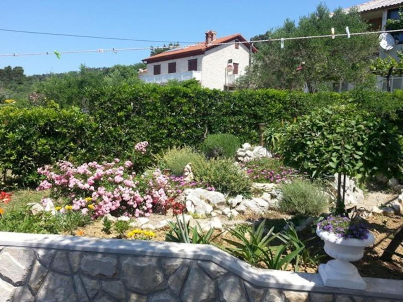 Photo 22