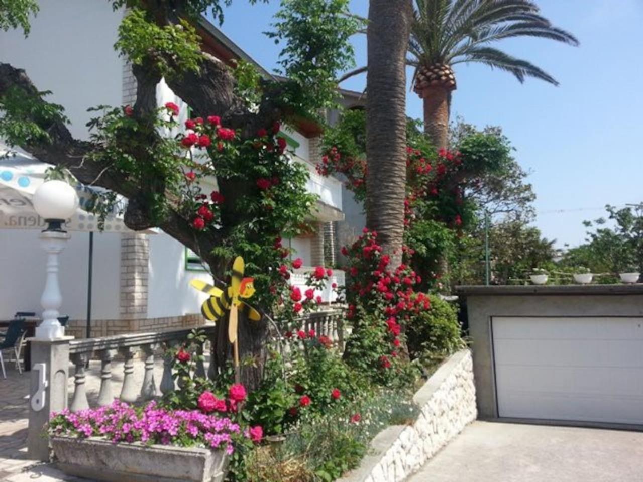 Photo 27