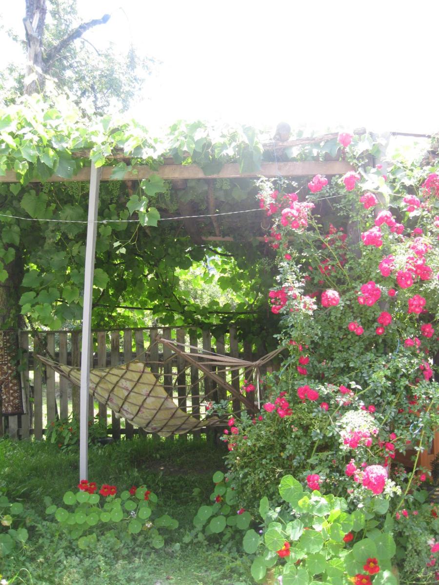 Photo 33