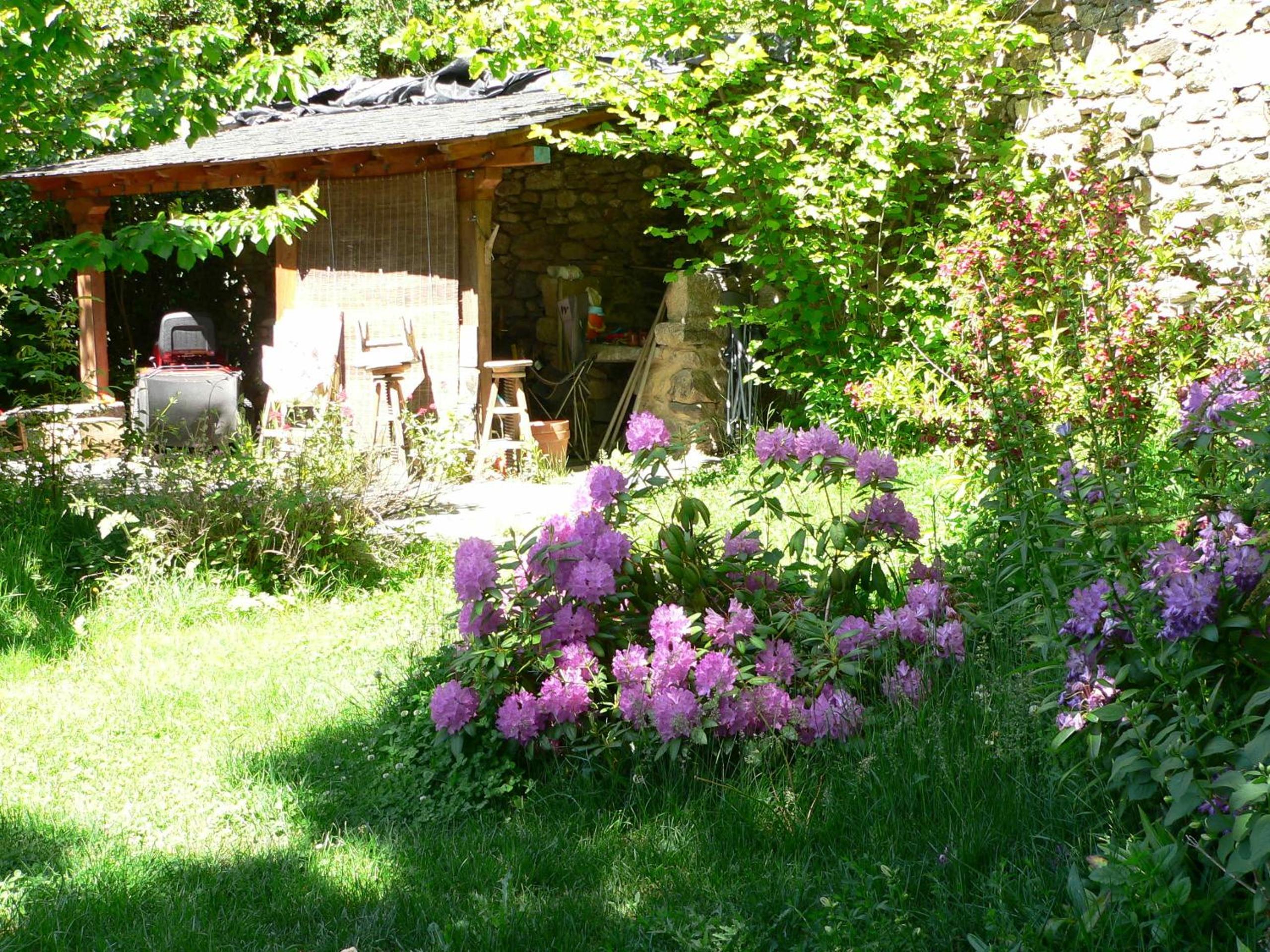 Photo 29