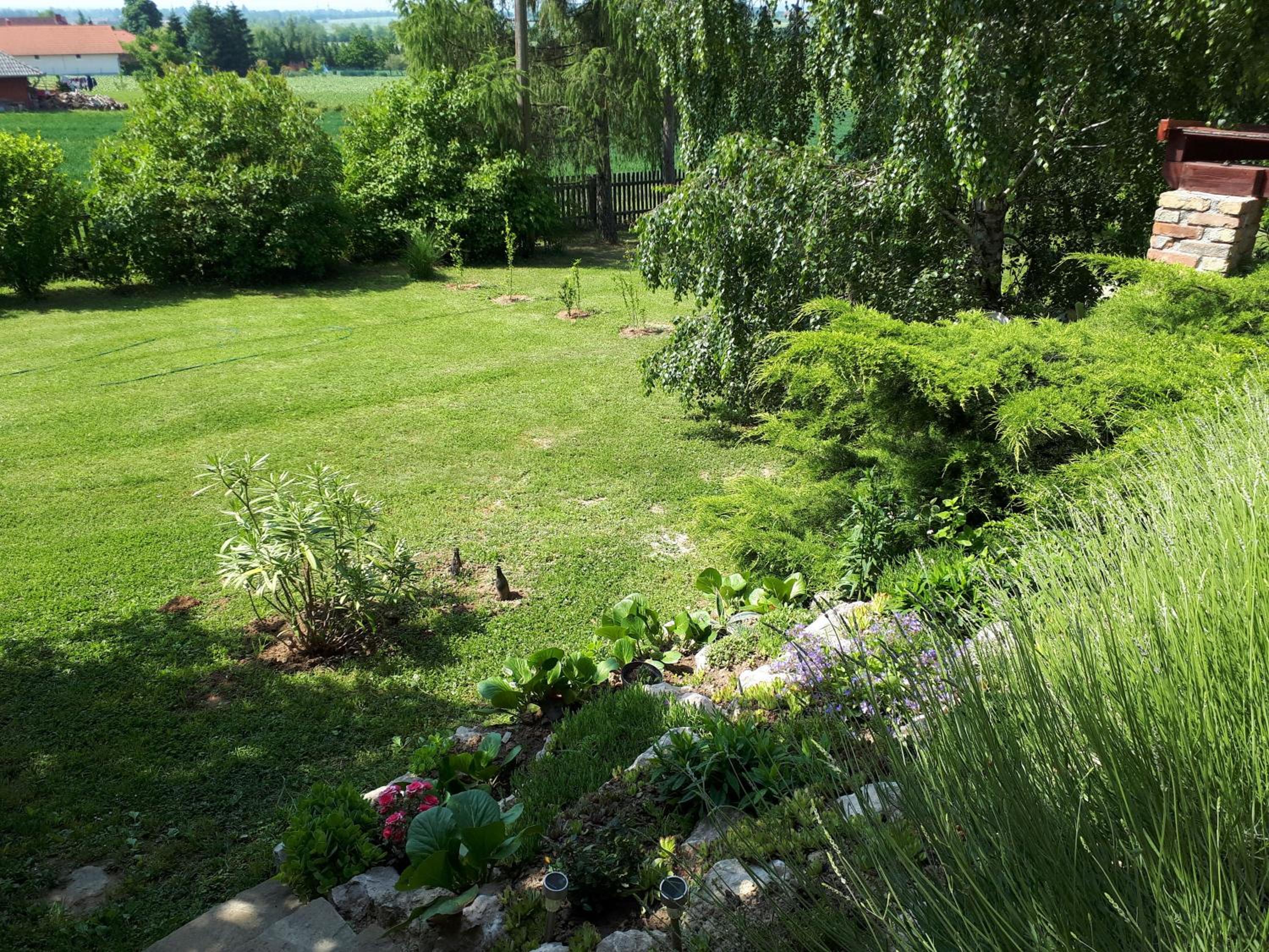 Photo 14