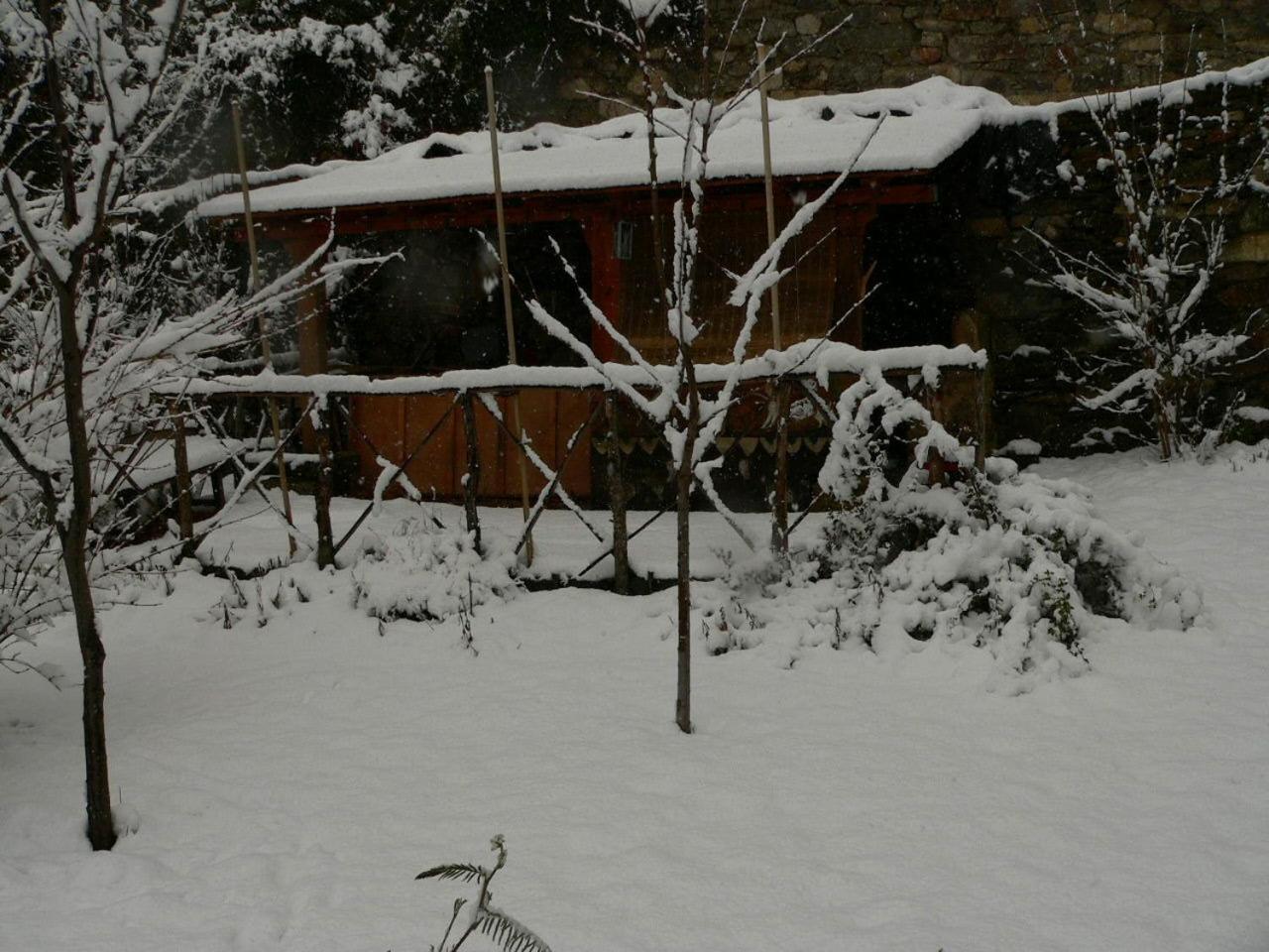 Photo 36