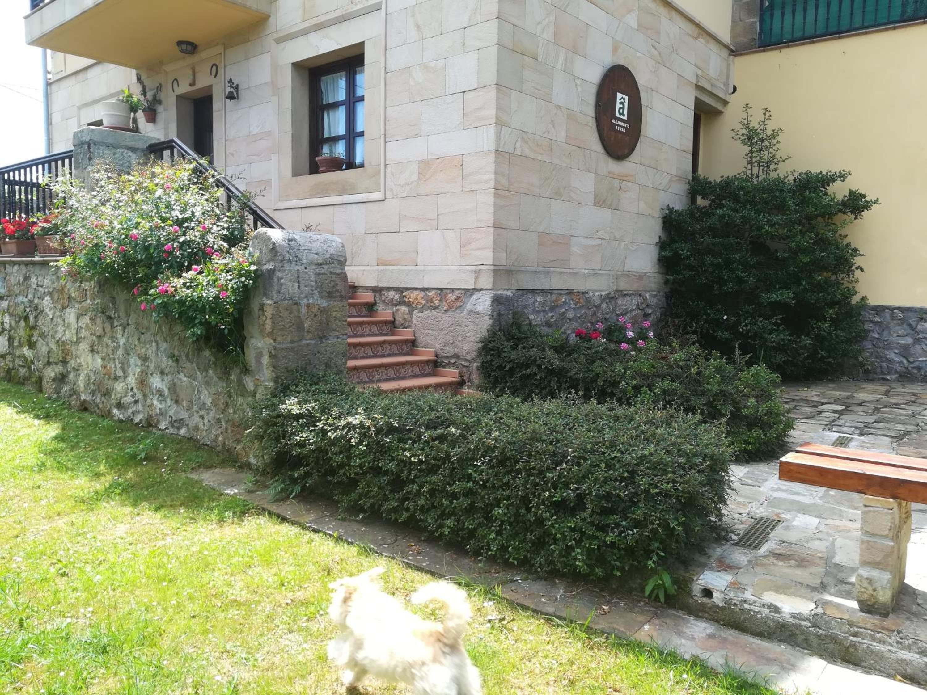 Photo 52