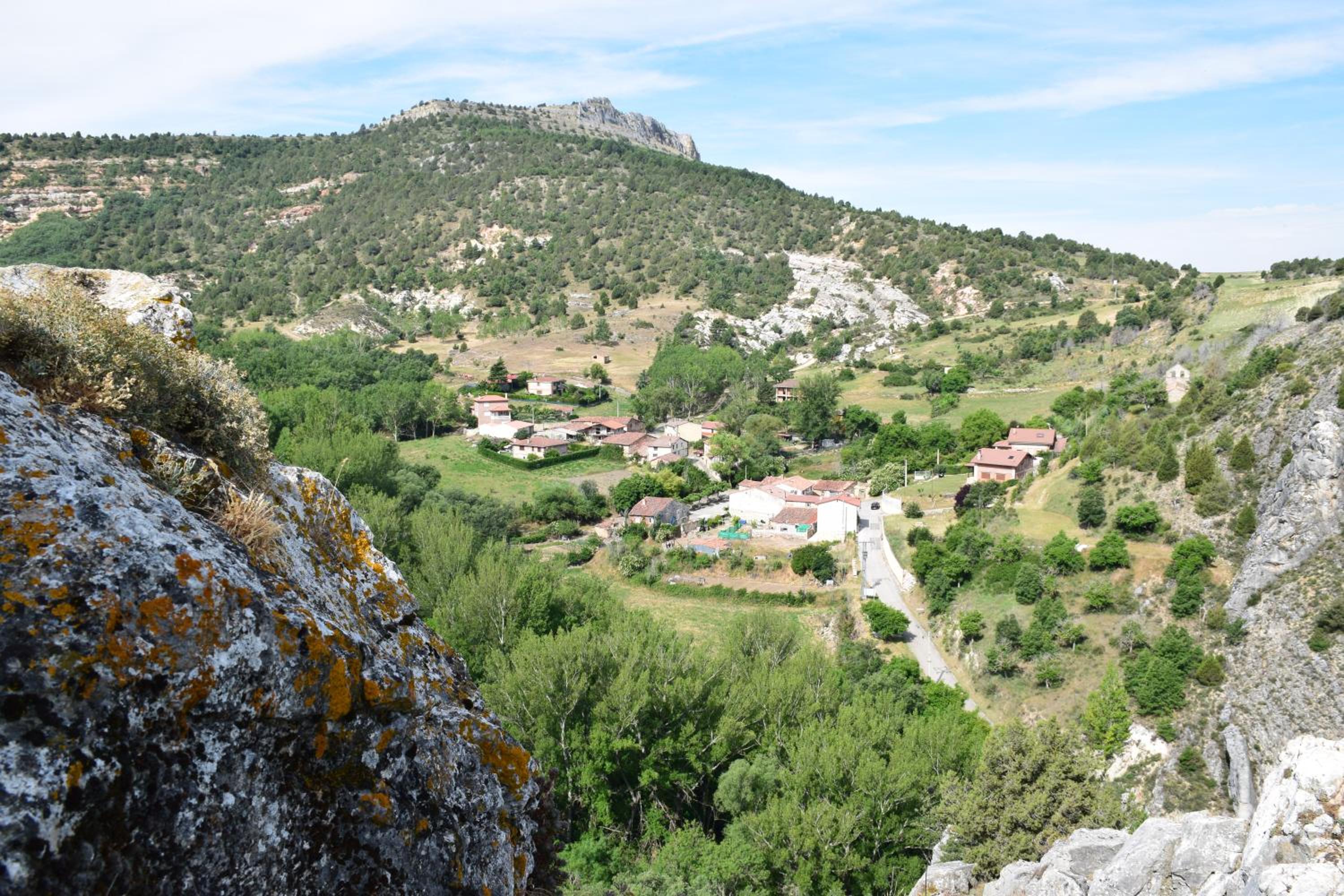Photo 25