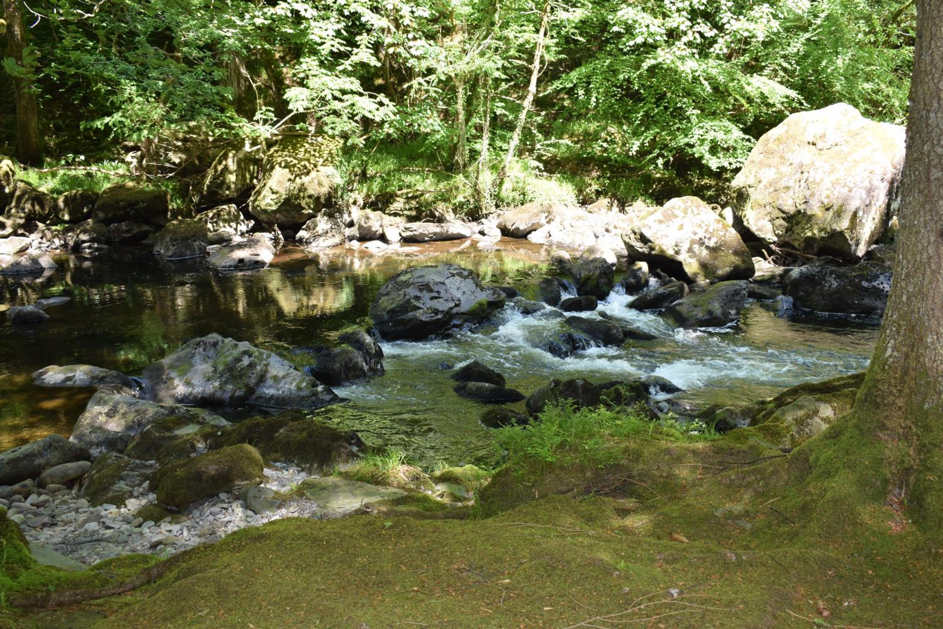 Photo 35