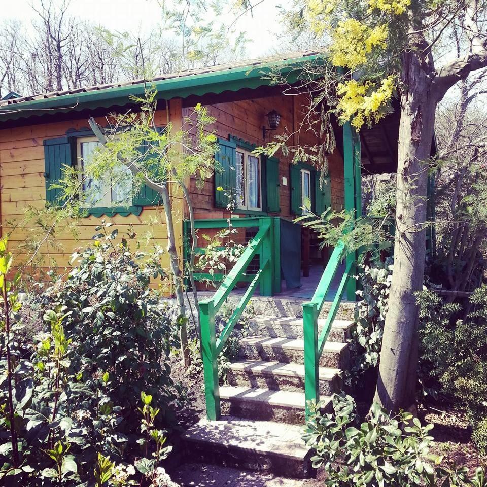 Photo 37