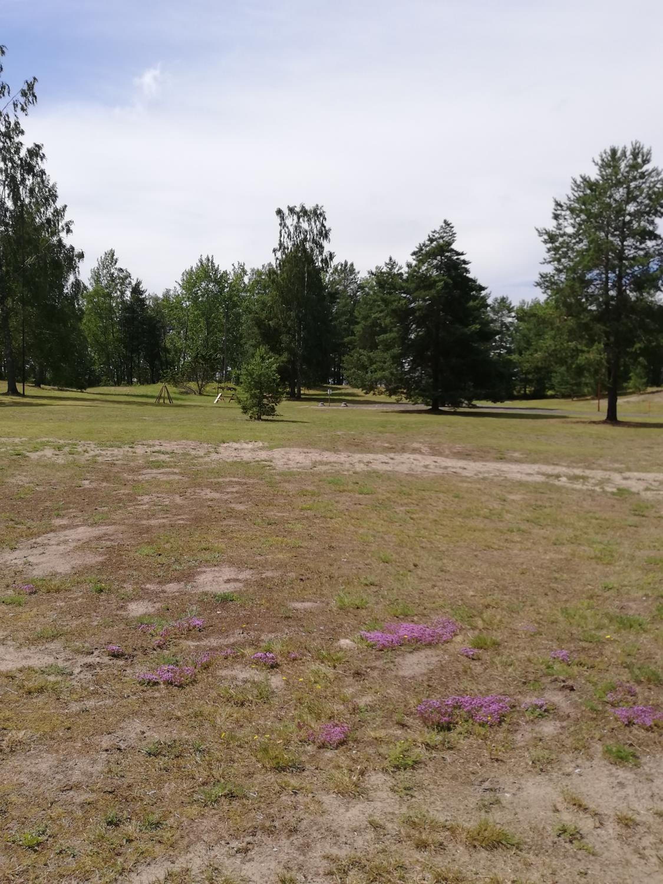 Photo 49