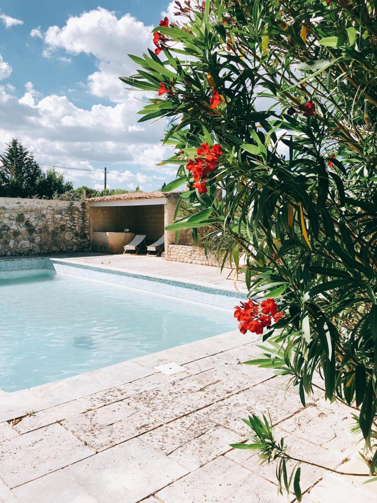 Domaine de Carraire, photo 5