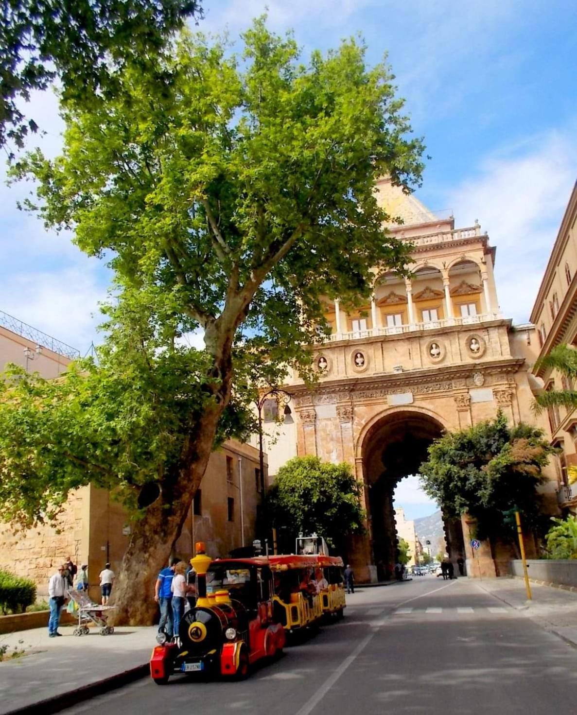 Photo 61