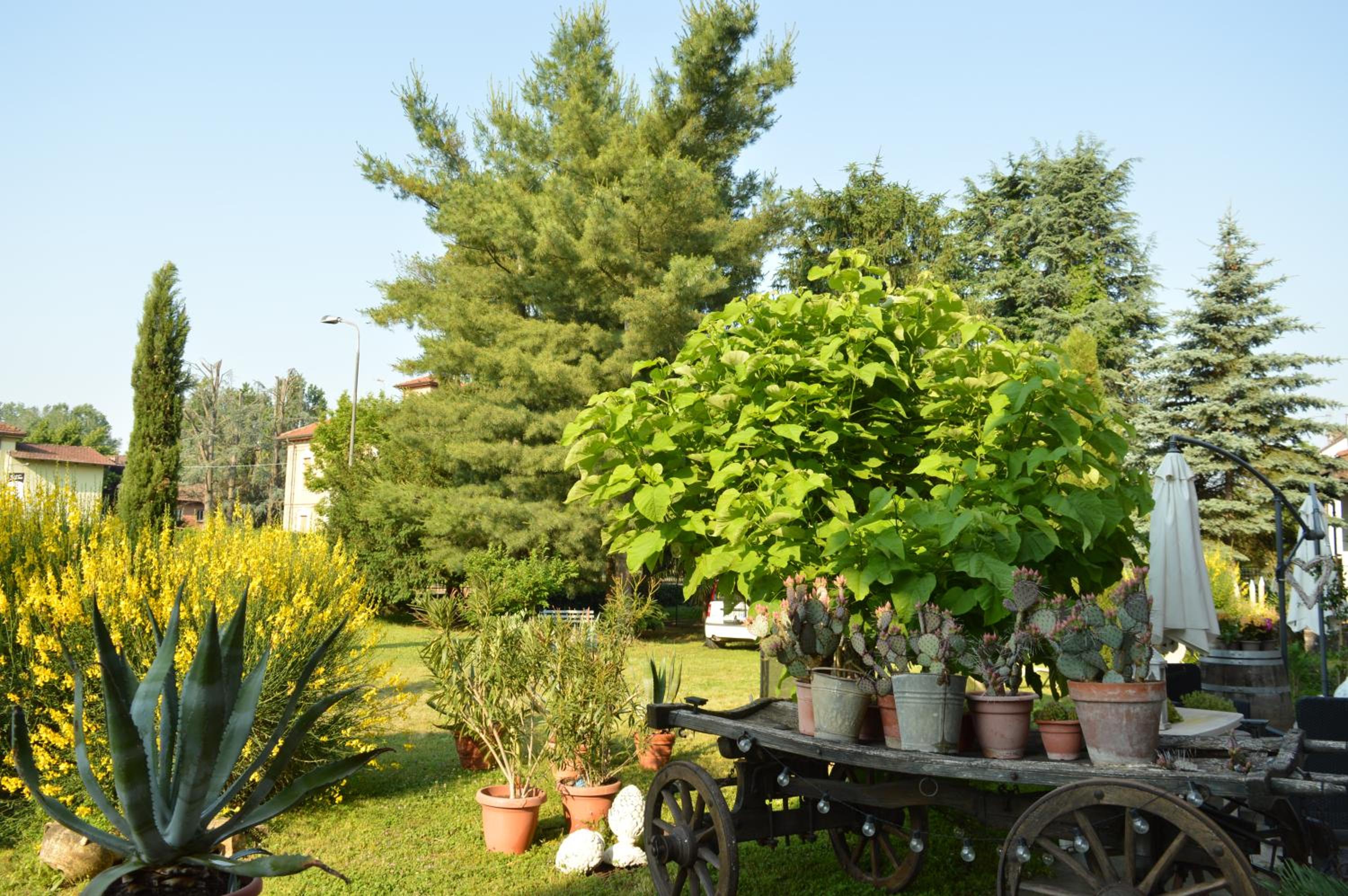 Bed & Tours Dimora di campagna