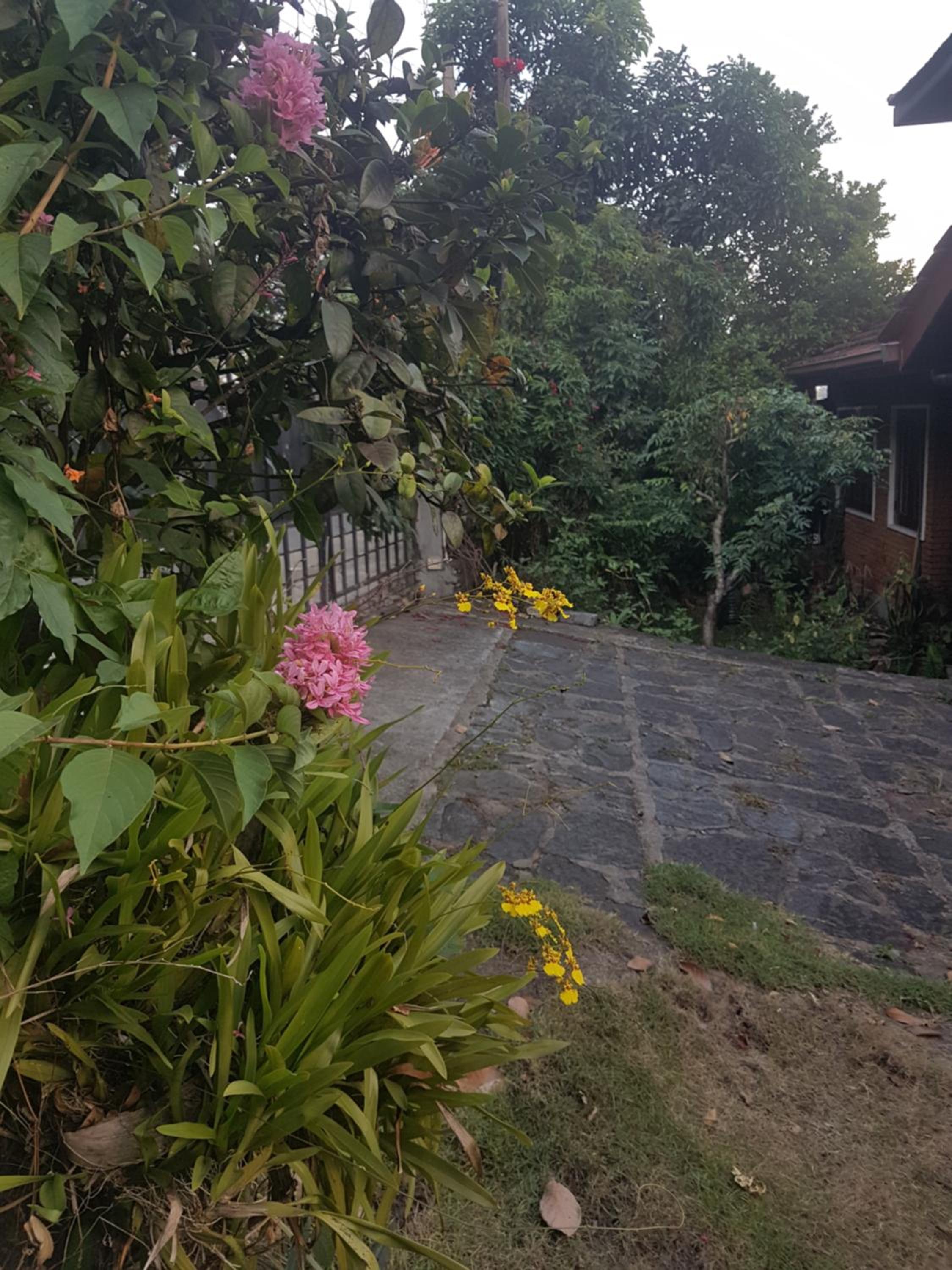 Photo 26