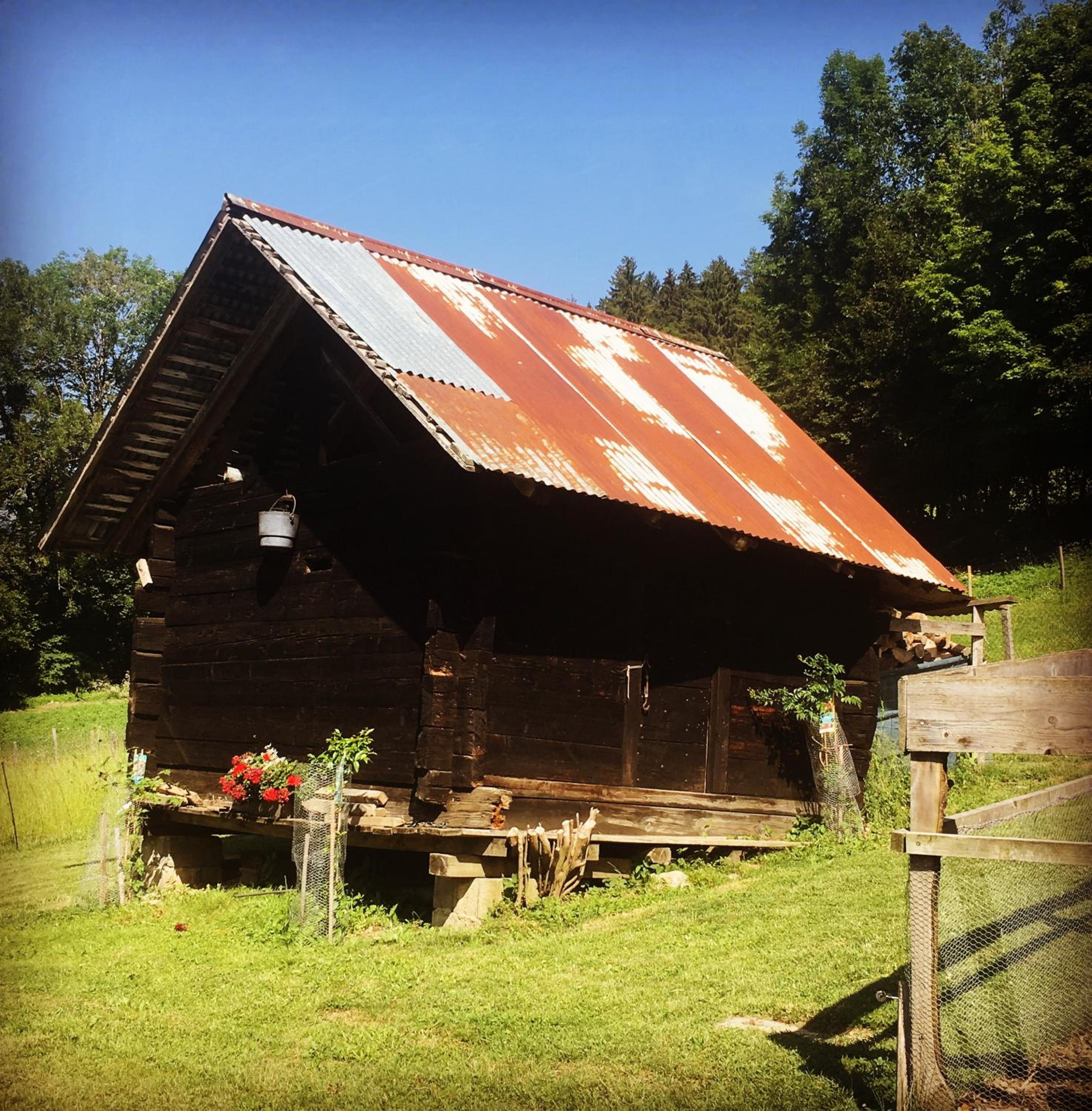 Photo 21