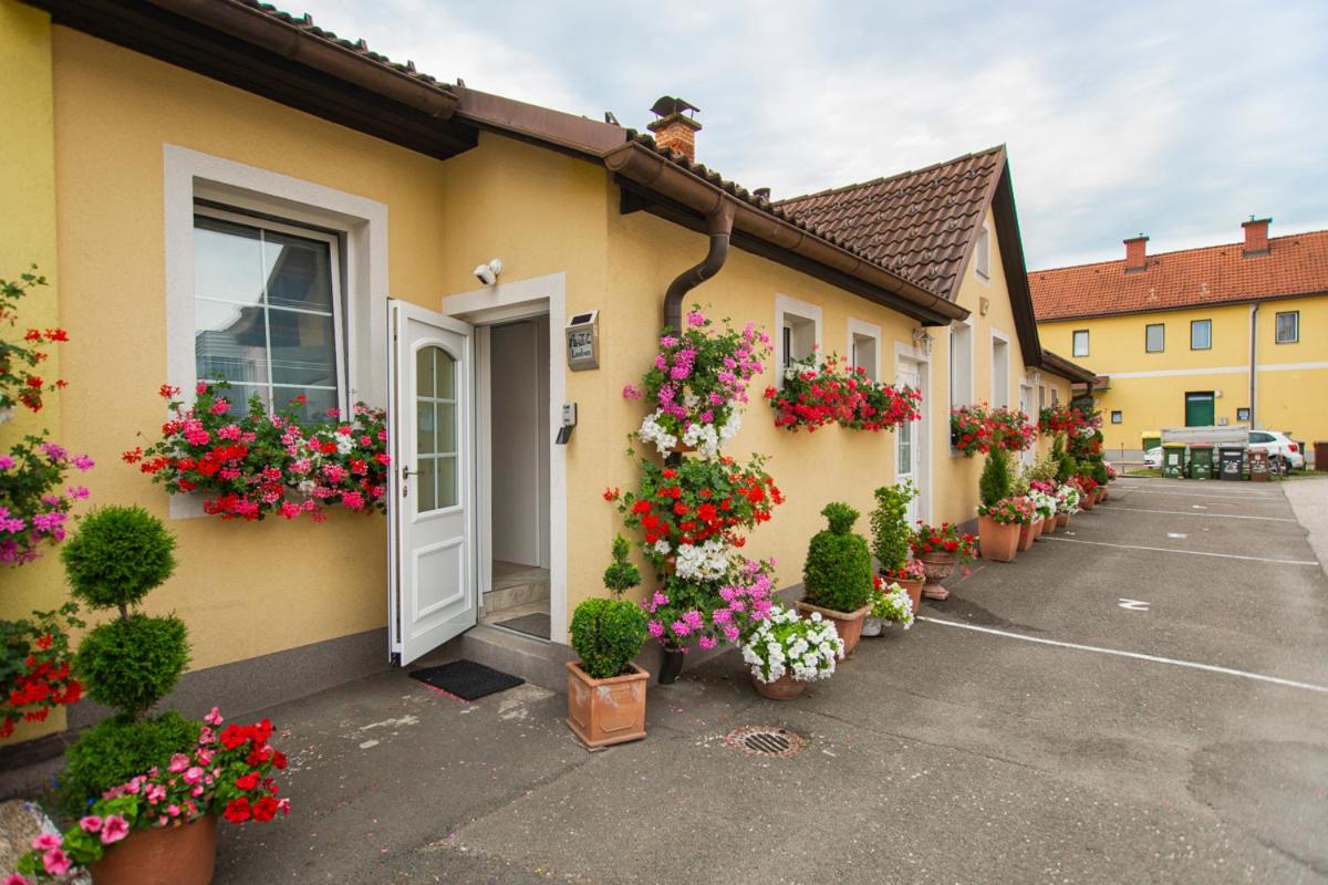 AusZeit Leoben 1 mit Terasse und gratis Parkplatz