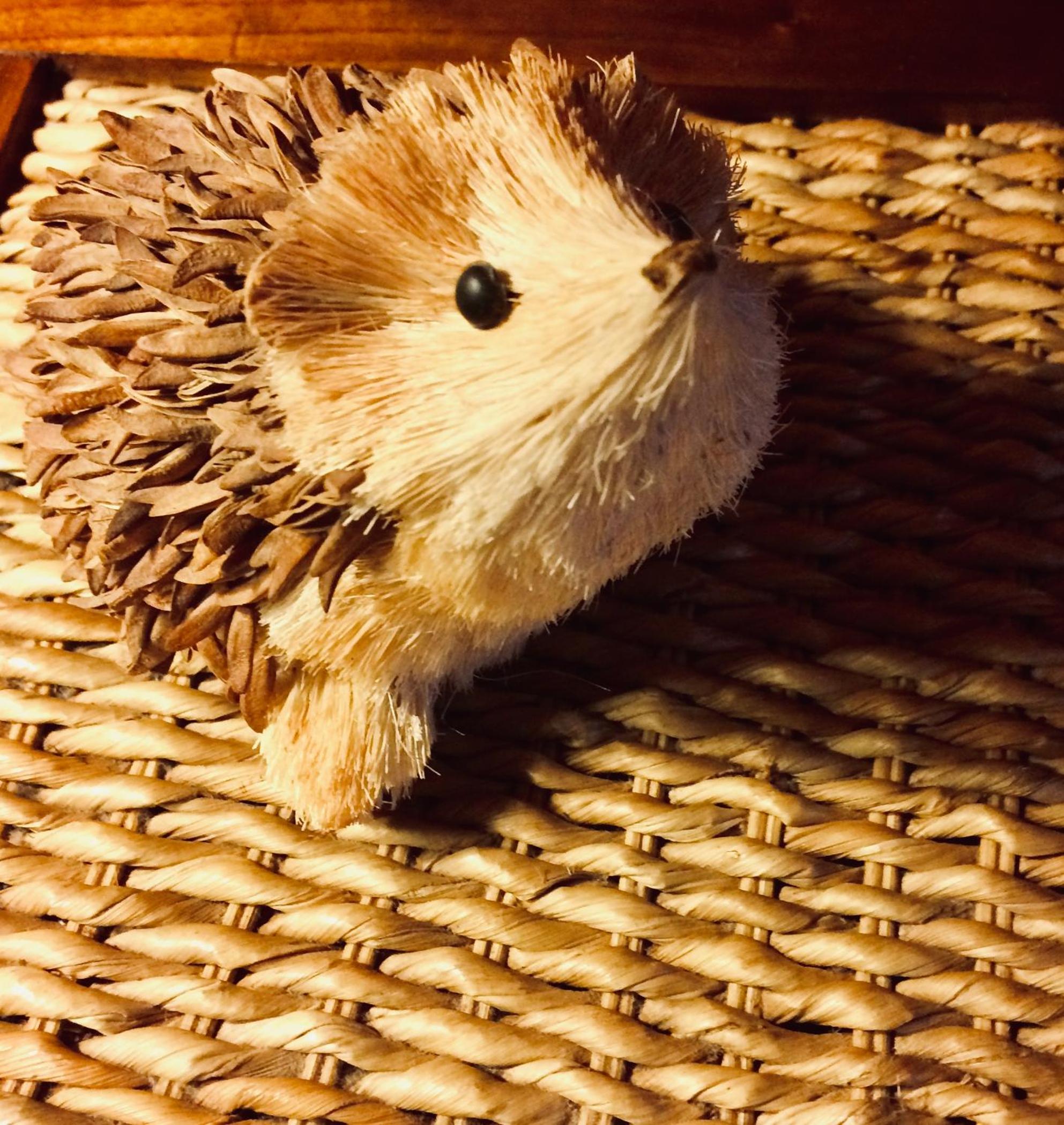 Photo 17