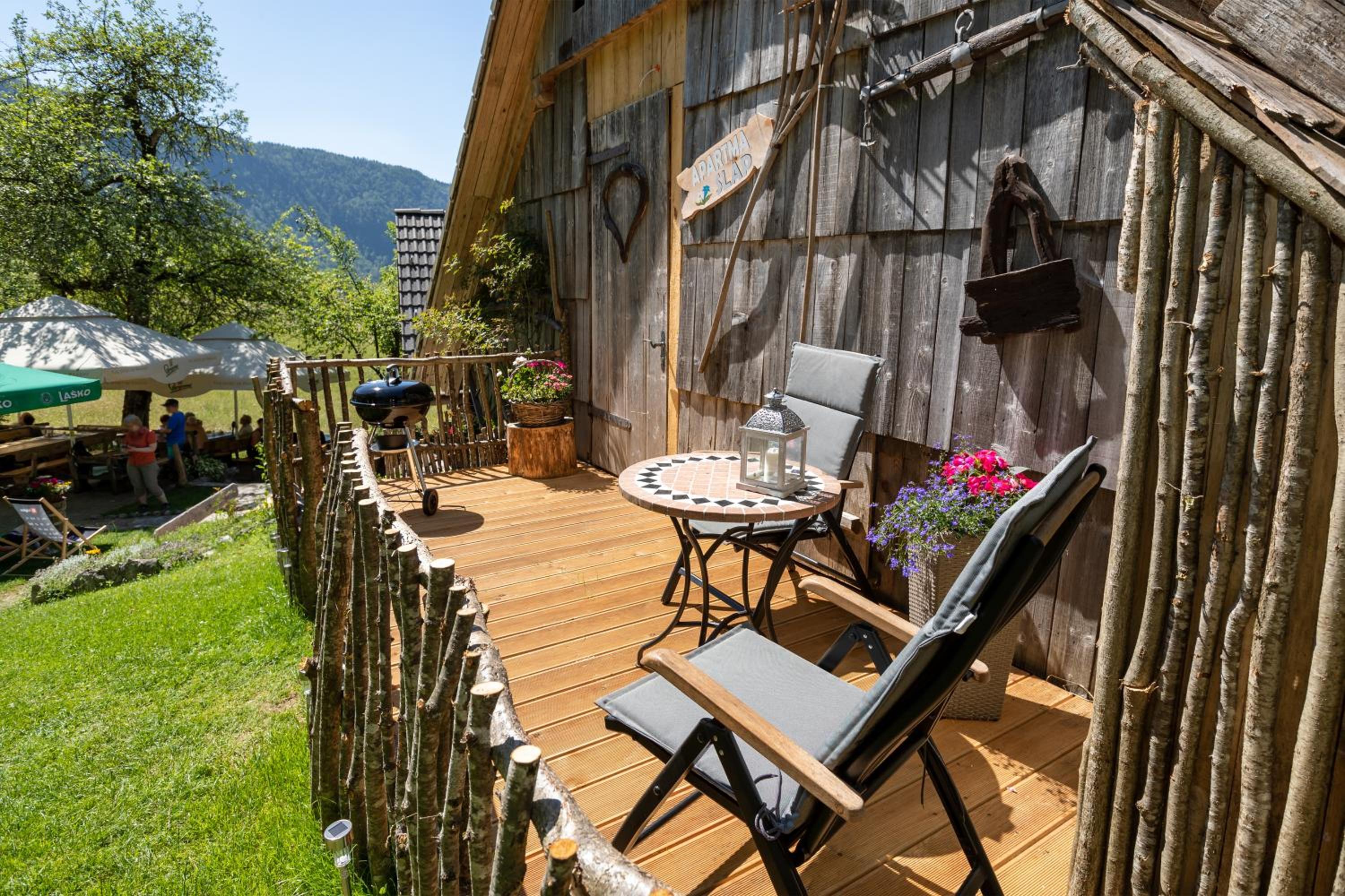Apartma waterfall Slap view 4