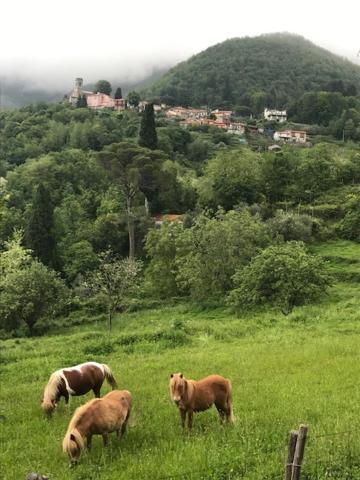 All'ombra del Castello view 5