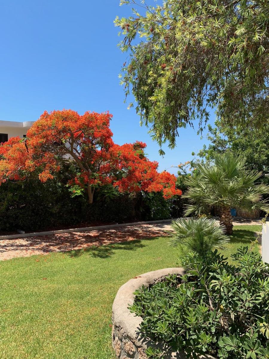 Villa Melita Seafront photo 5