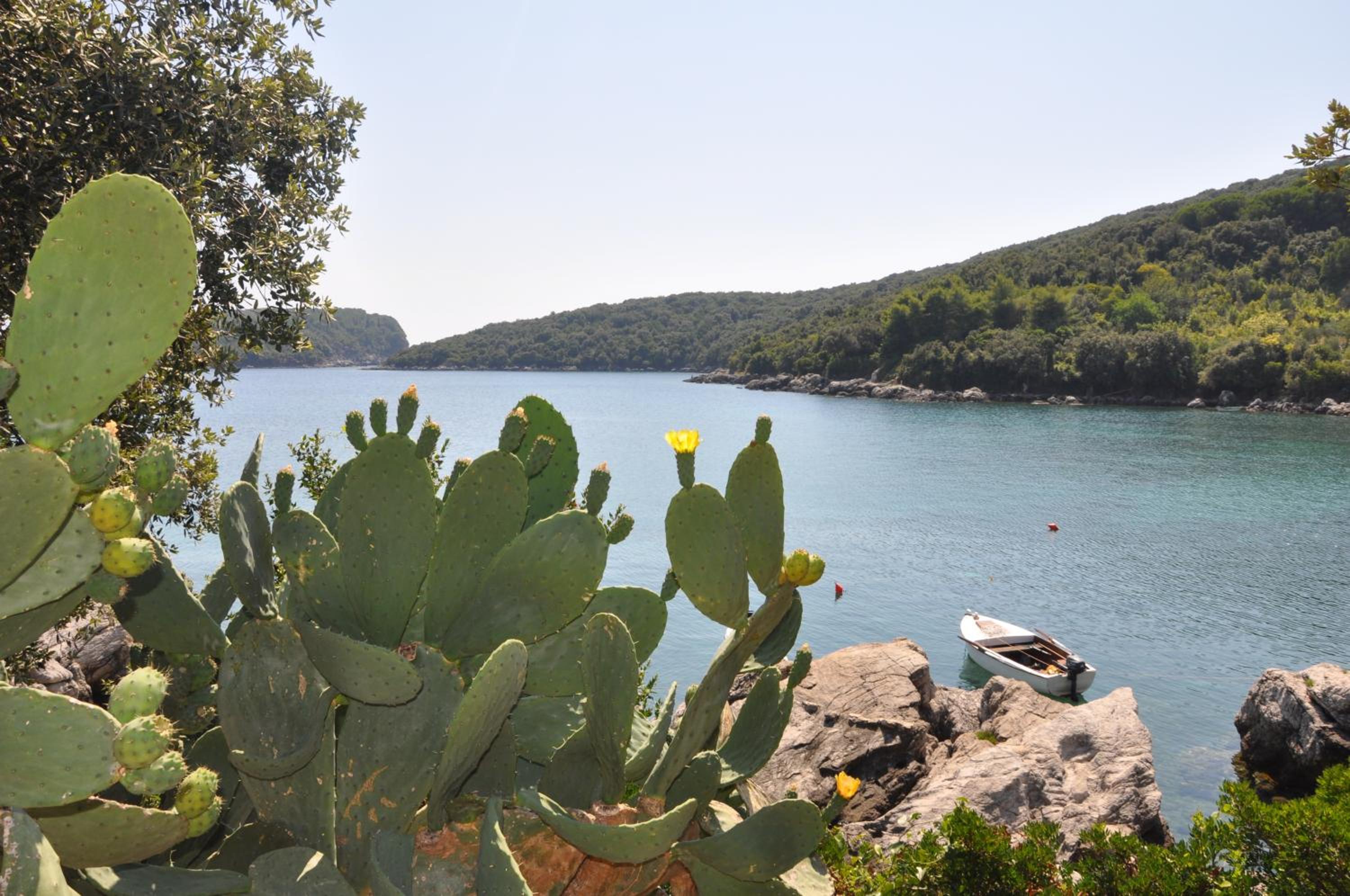 Villa Marin view 5
