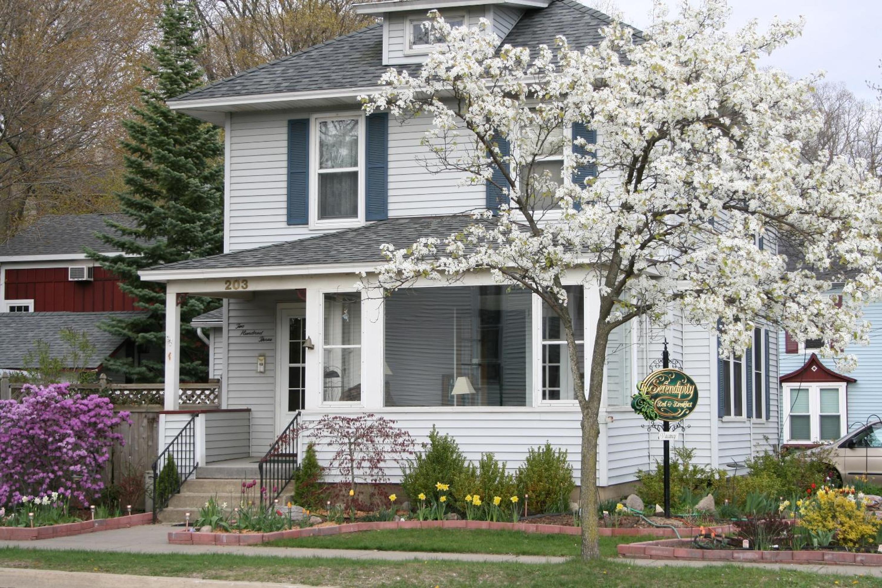 Serendipity Bed and Breakfast