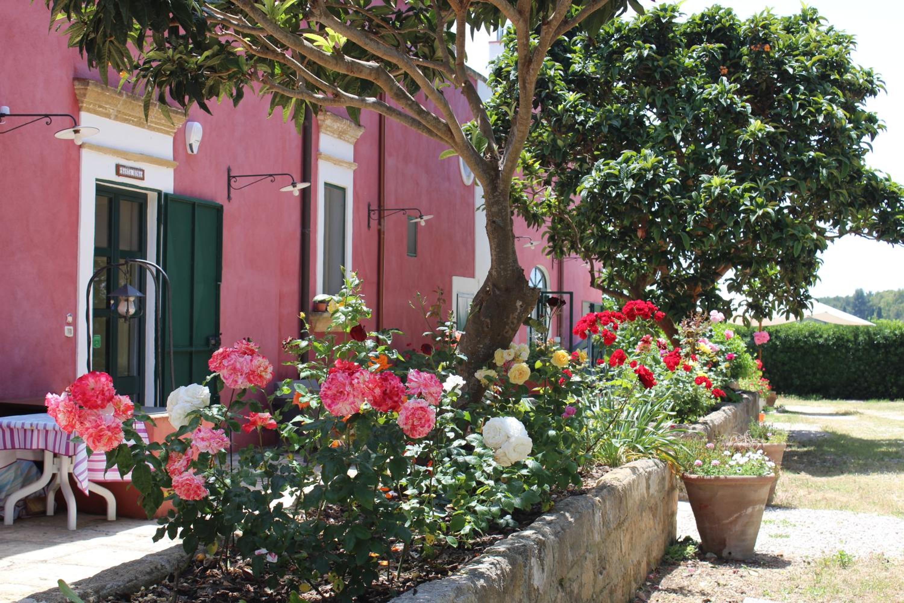 Tenuta Santa Rosa view 2