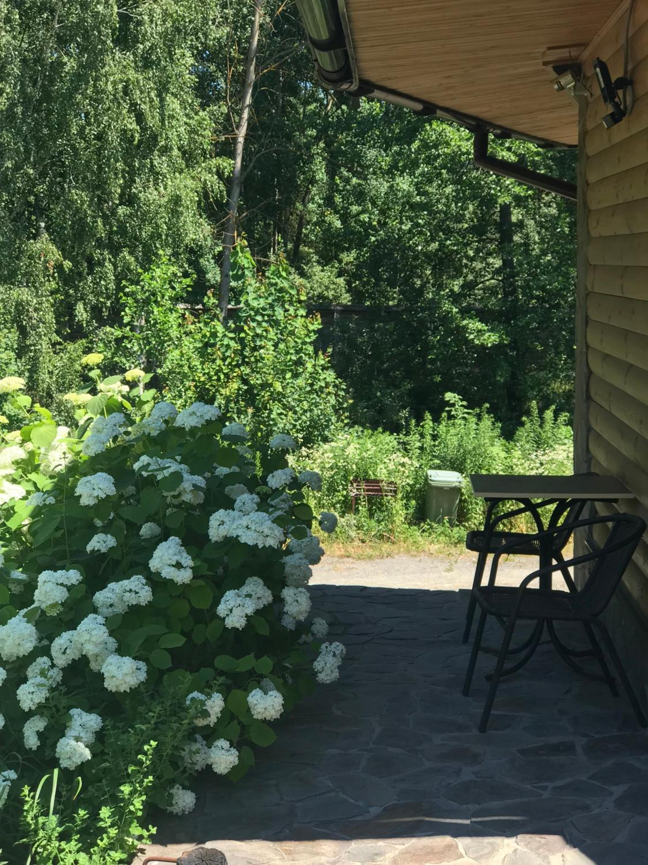 Photo 21