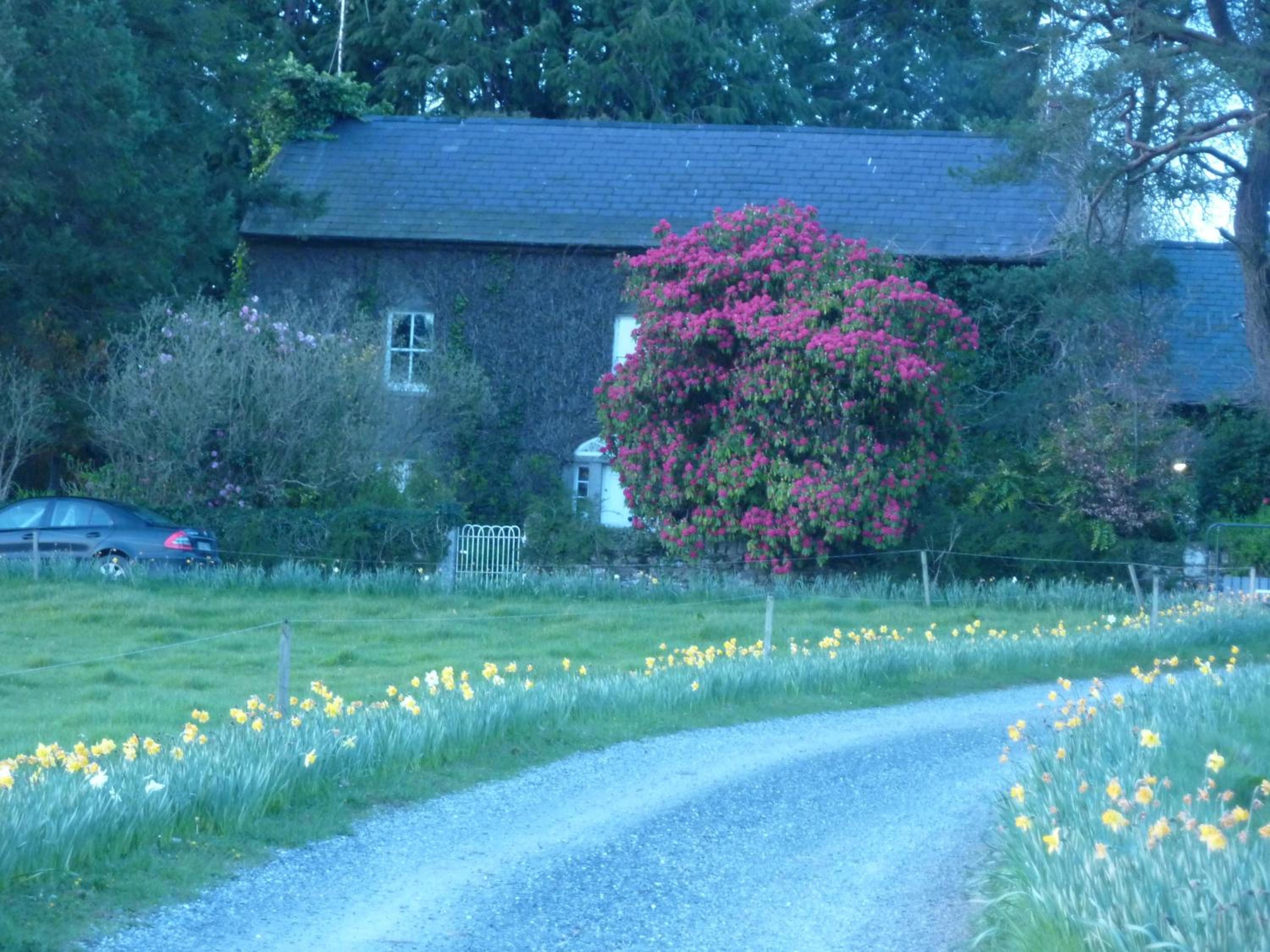 Cullintra House