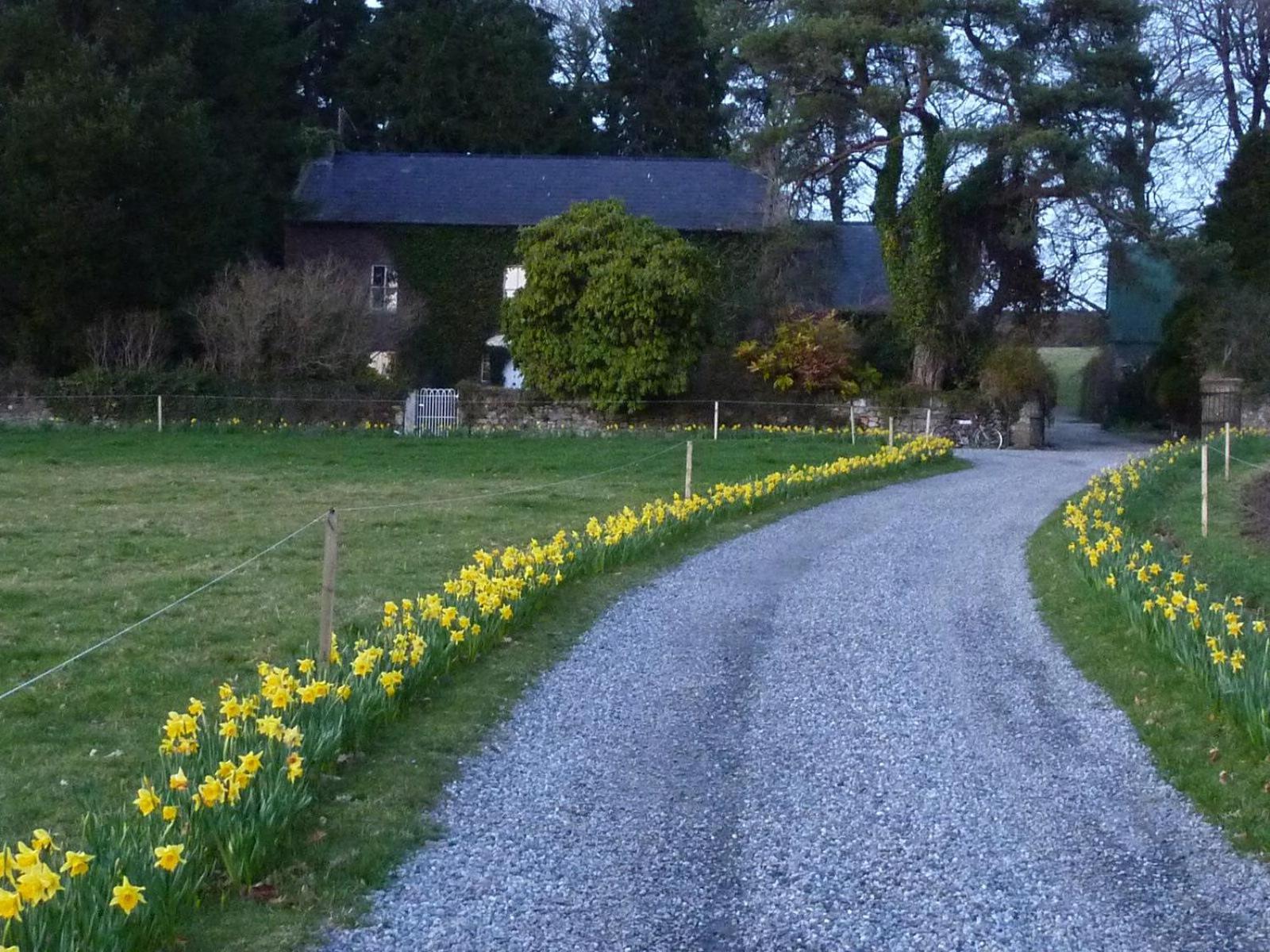 Cullintra House